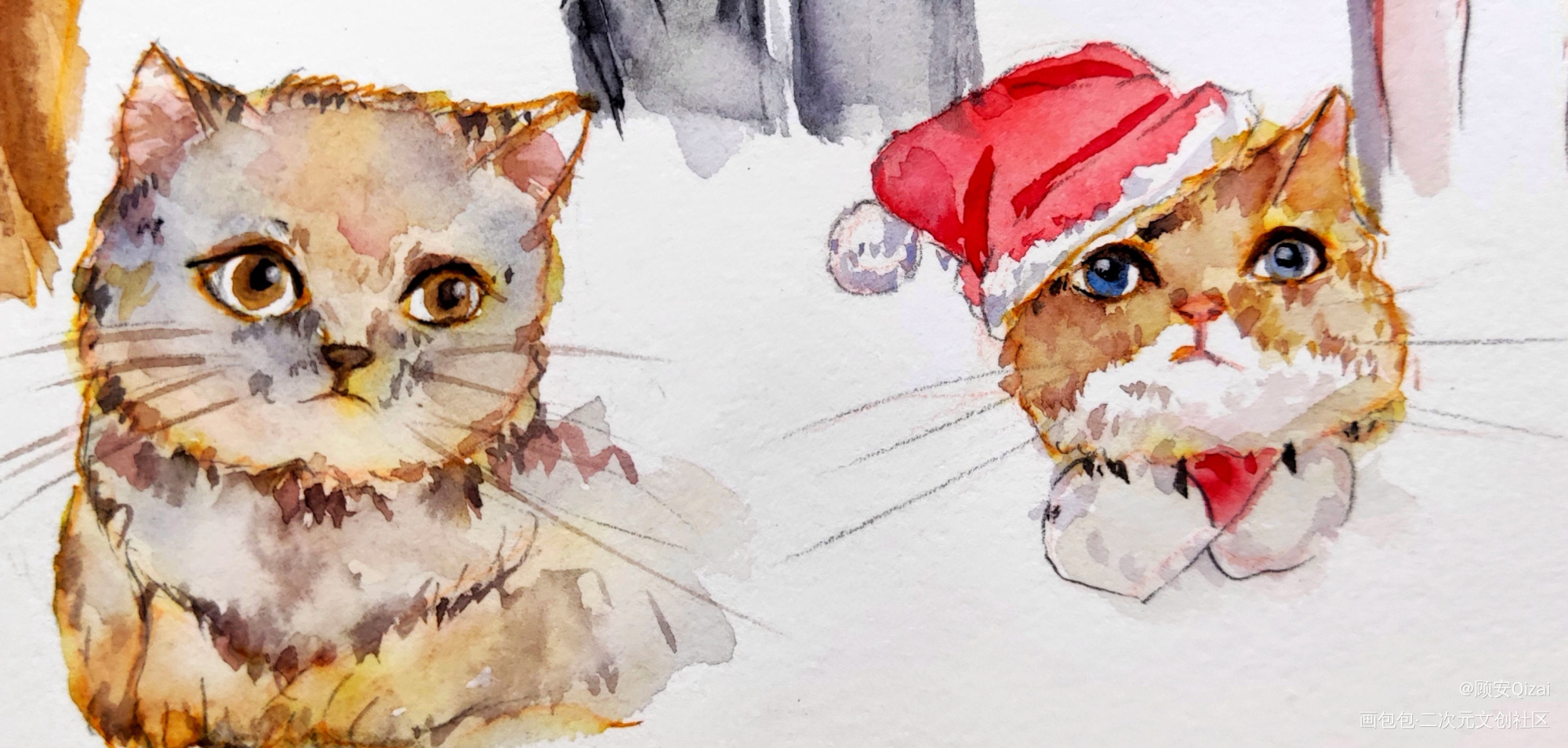 试着画下猫猫_手绘水彩猫绘画作品