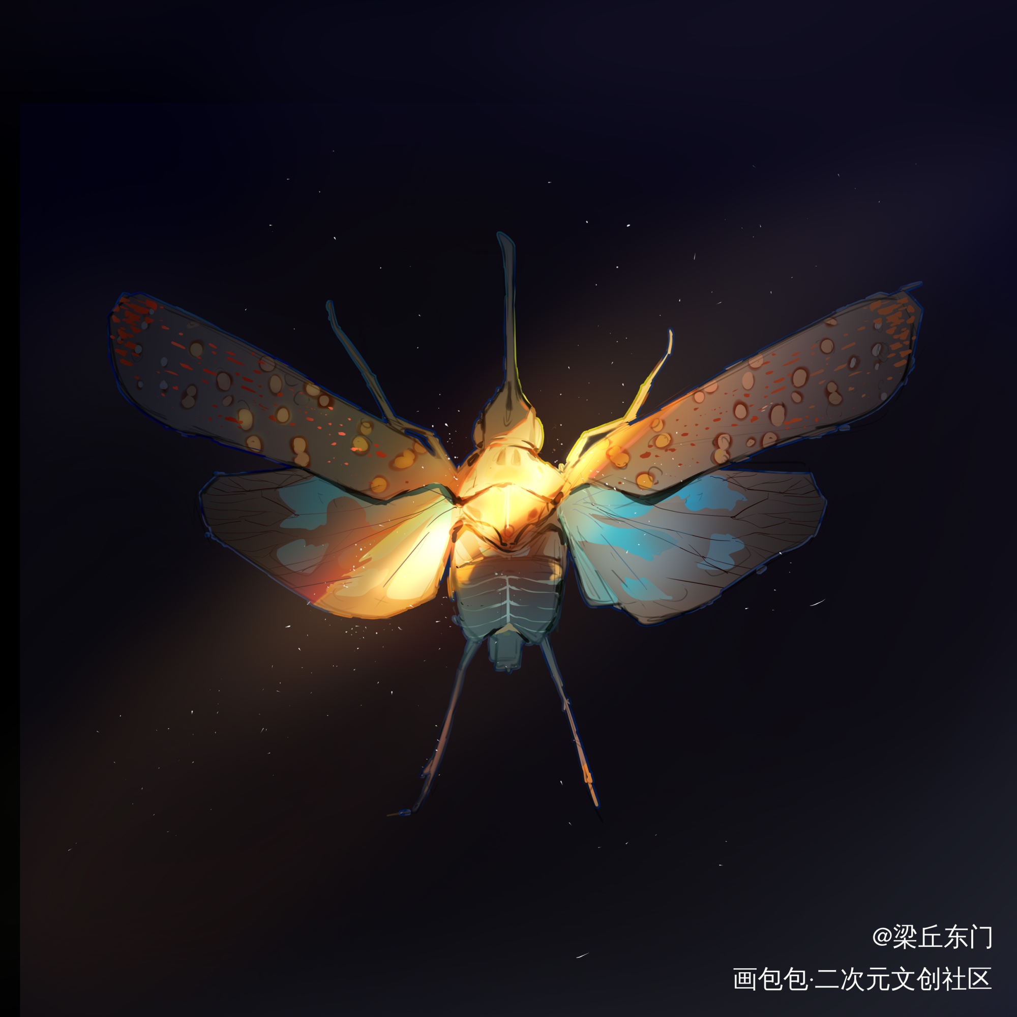 色彩练习_绘画练习绘画作品