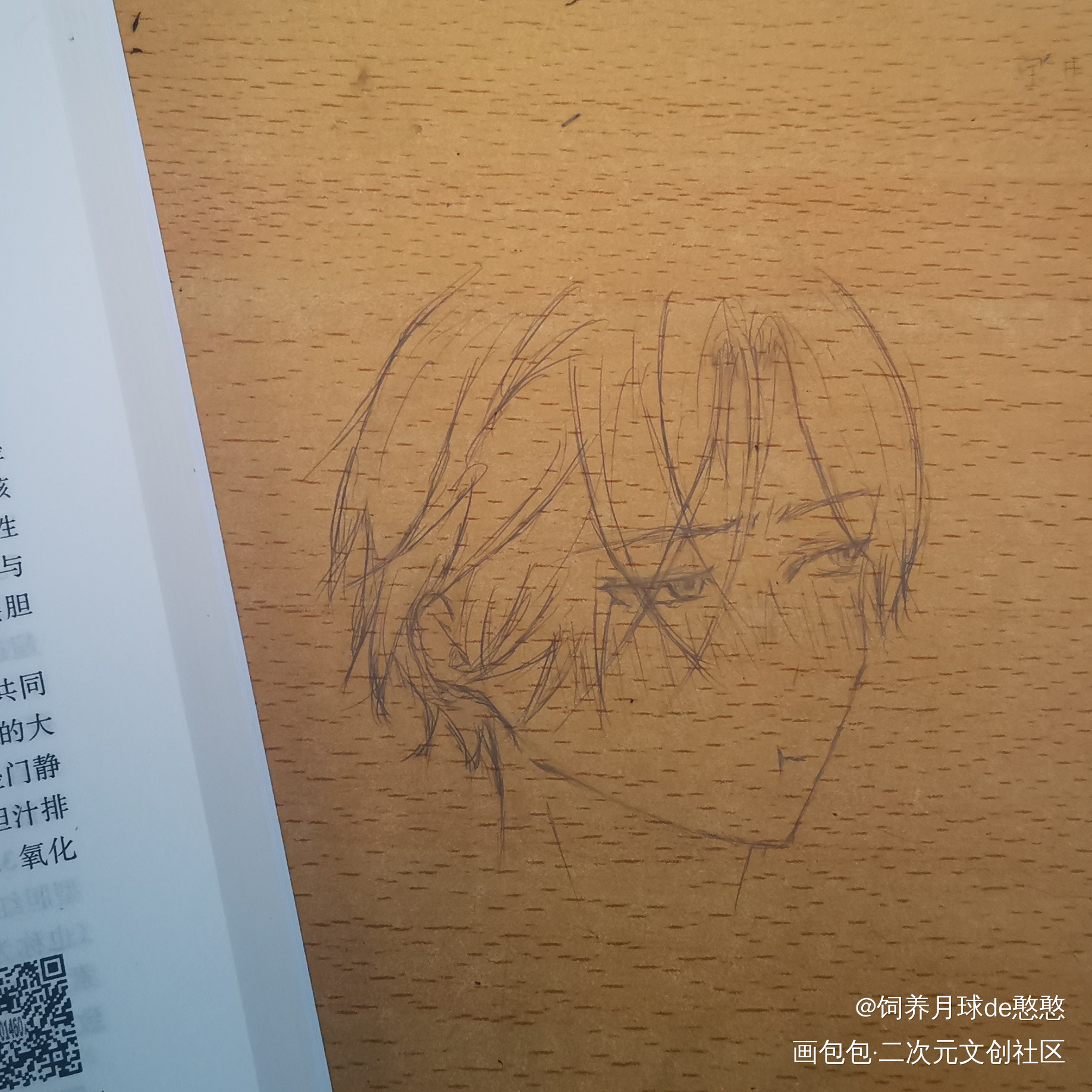 临摹_手绘临摹绘画作品