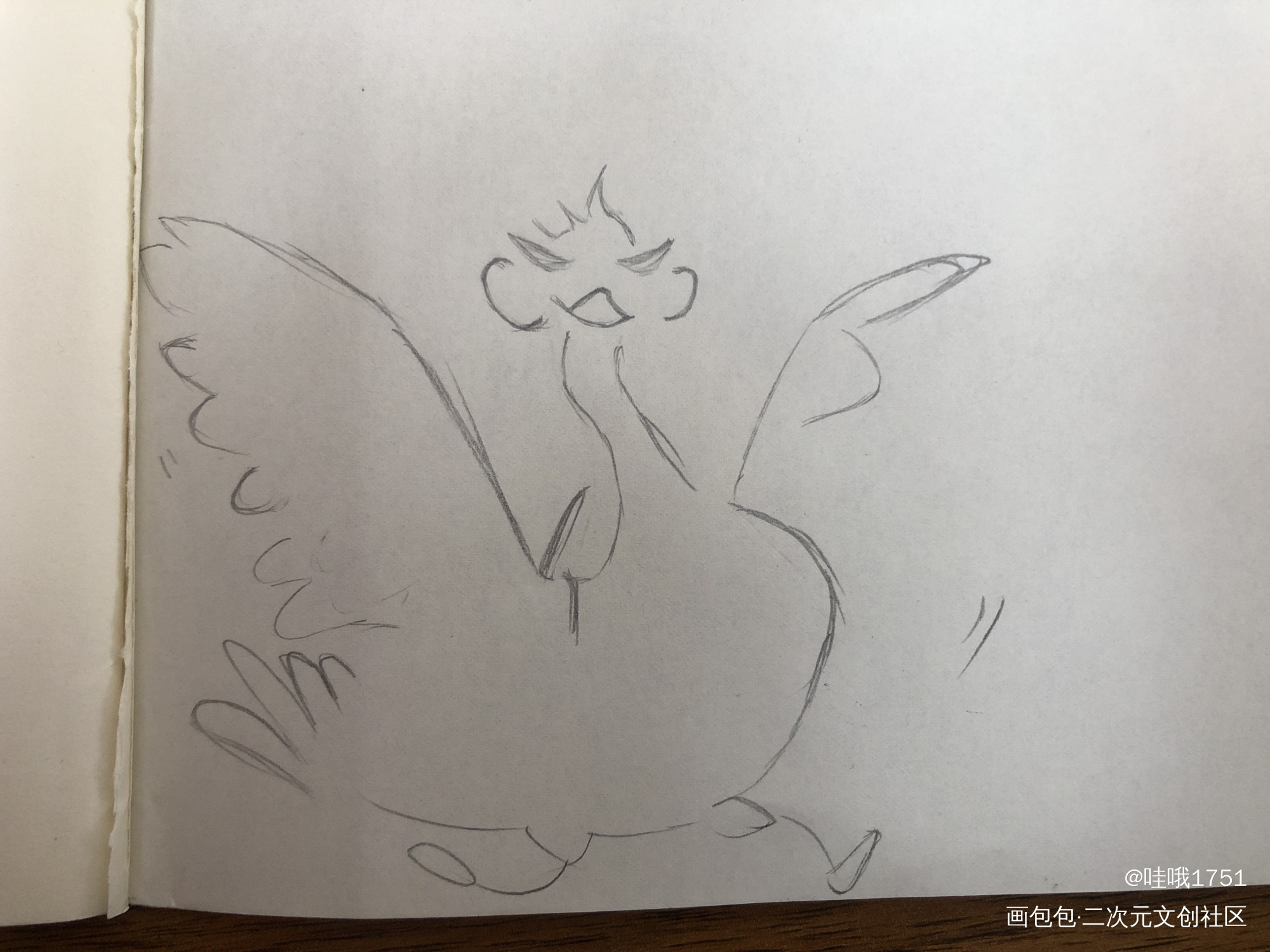 大鹅_群秀绘画作品