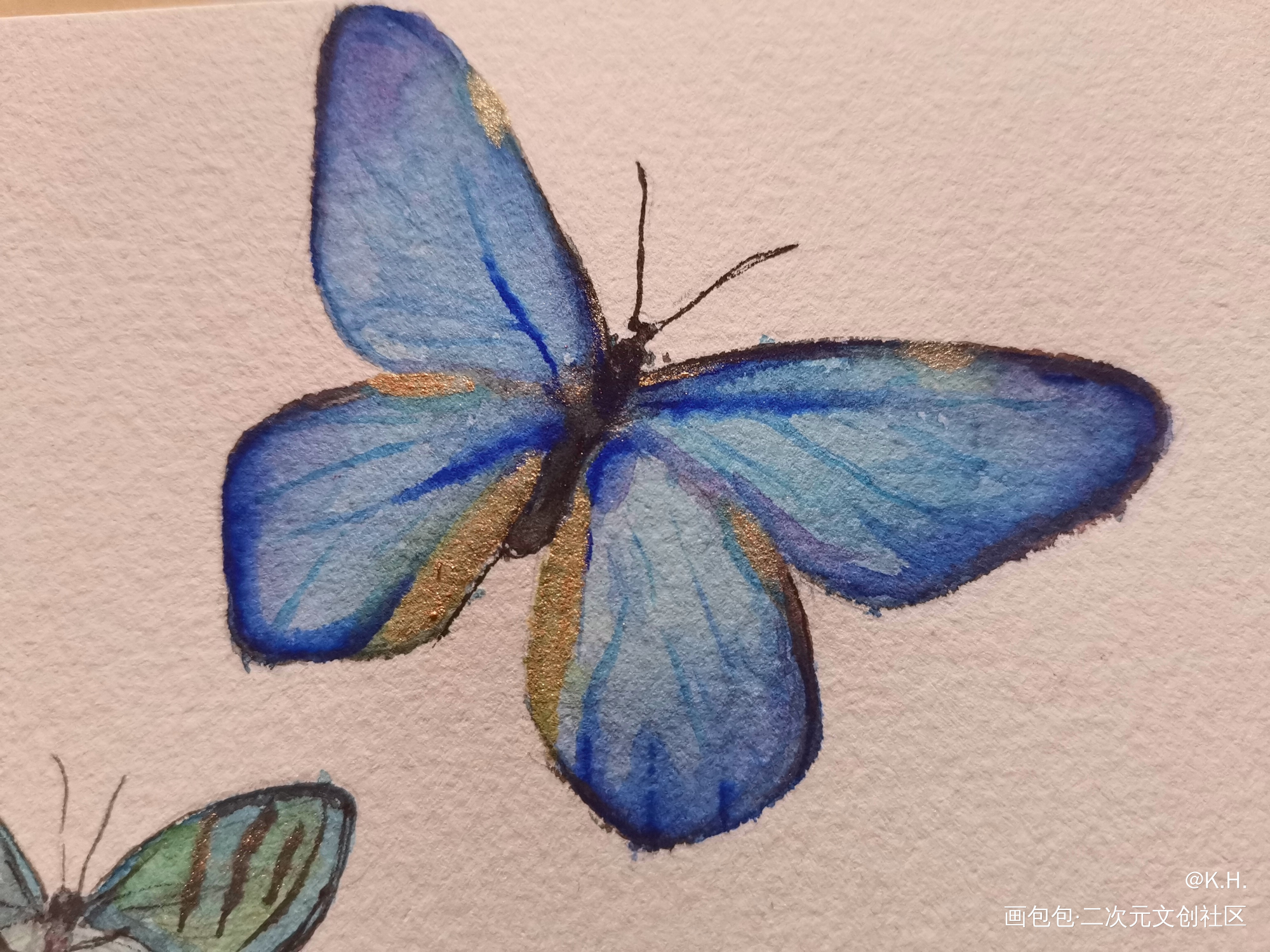 是春天_手绘水彩蝴蝶摸鱼绘画绘画作品