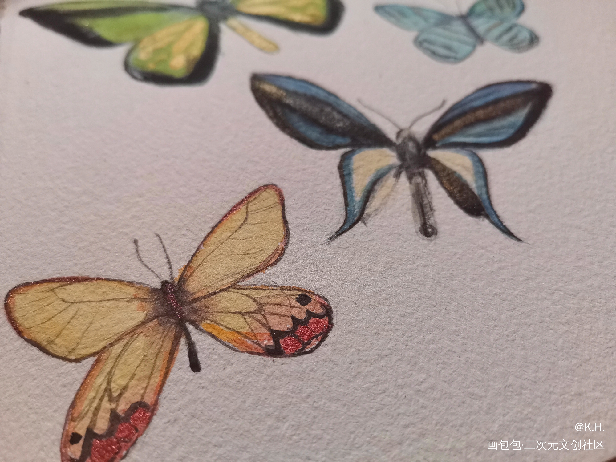 是春天_手绘水彩蝴蝶摸鱼绘画绘画作品