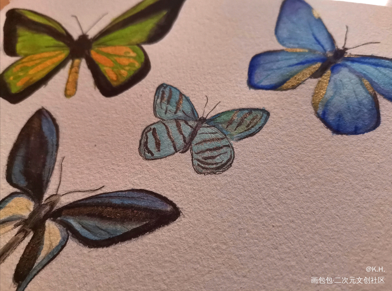 是春天_手绘水彩蝴蝶摸鱼绘画绘画作品