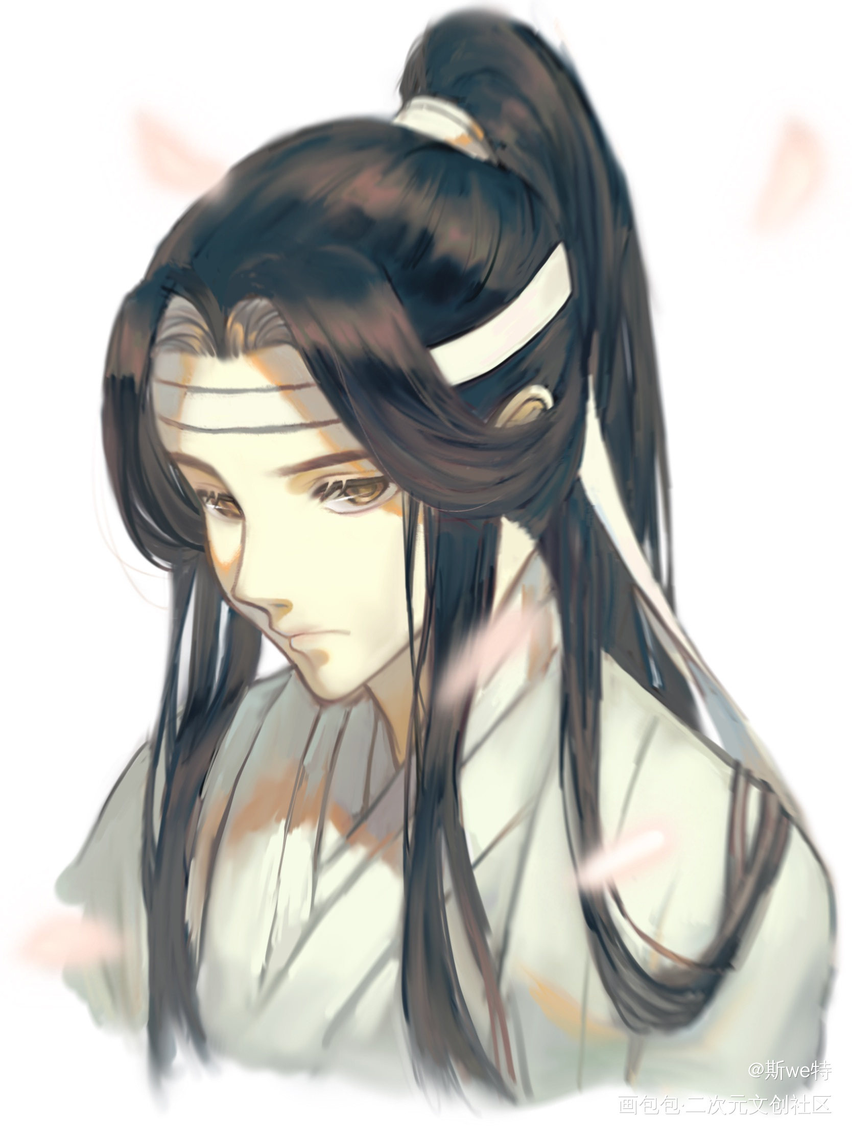 马尾叽_魔道祖师蓝忘机绘画作品