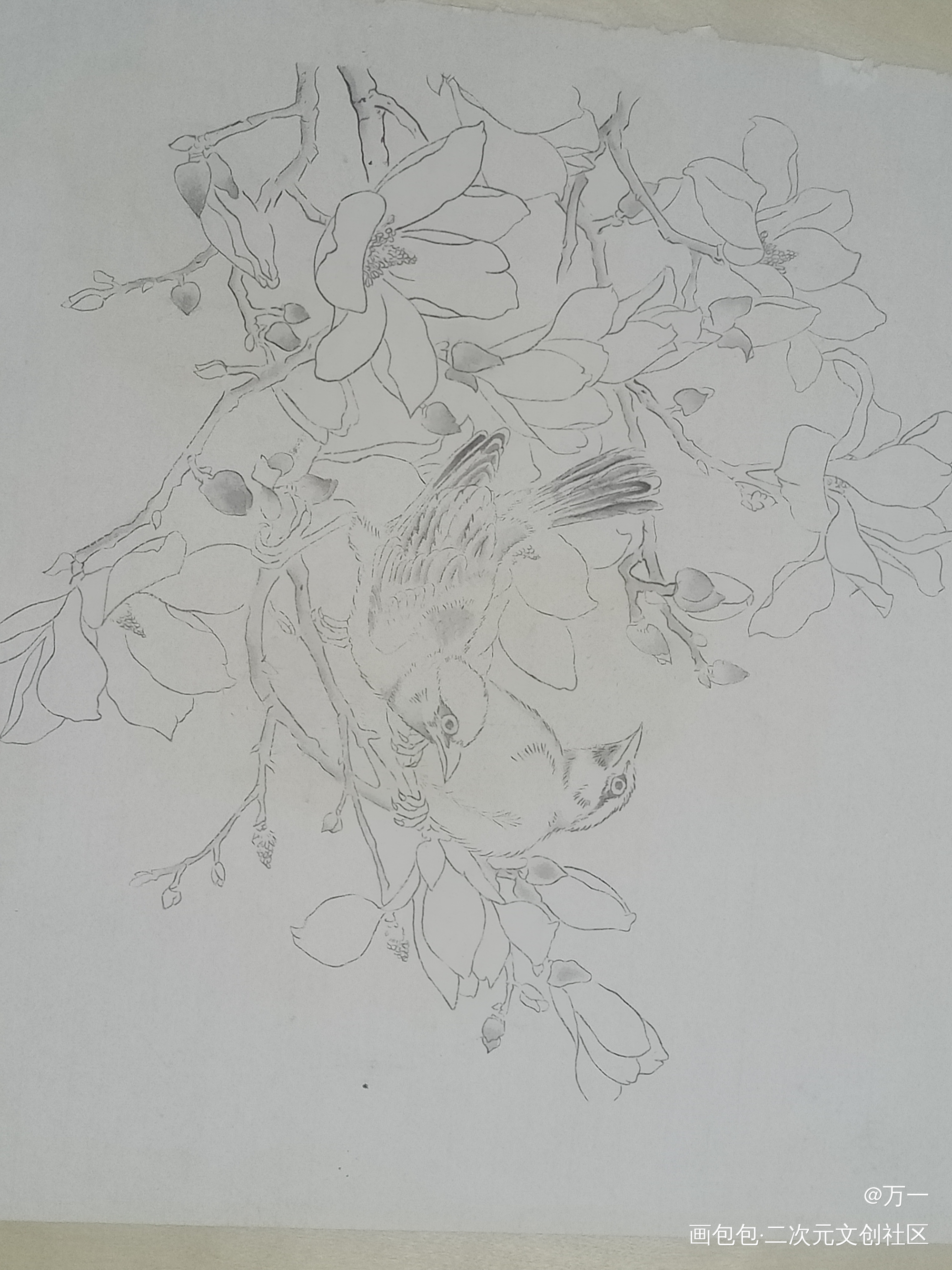 国画_水彩绘画作品