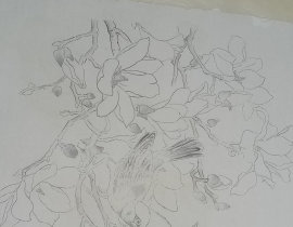国画_绘画作品
