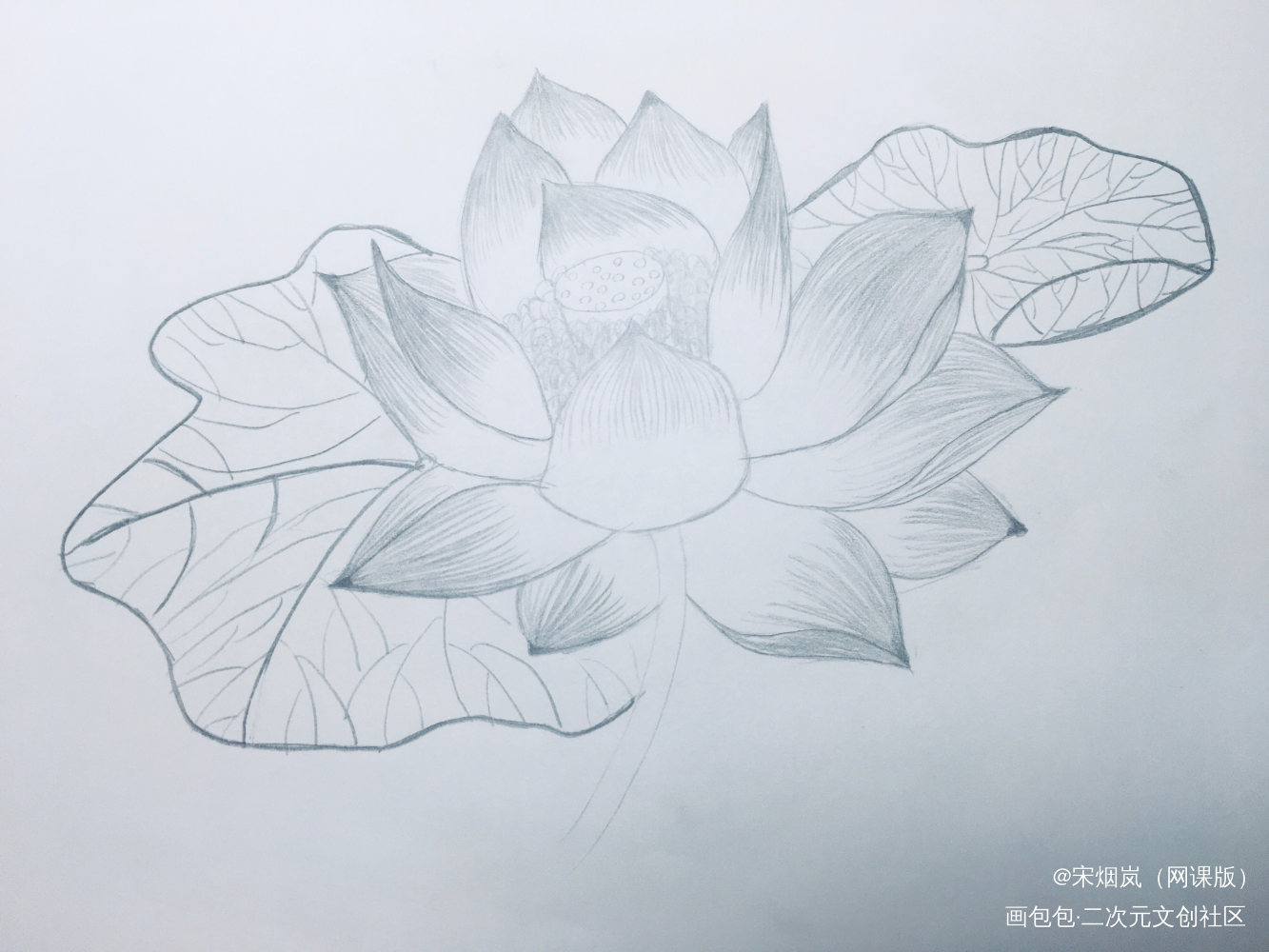 我就不信我搞不了这个打卡_铅笔画手绘绘画作品