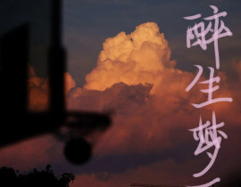 醉生梦死_绘画作品