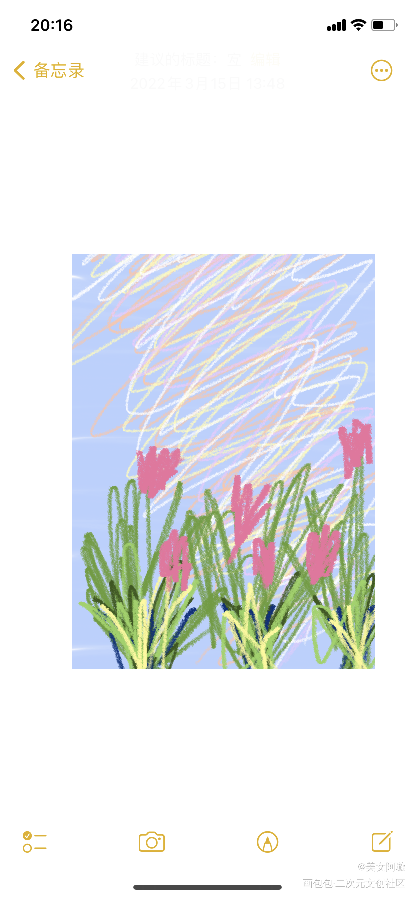 郁金香_平涂绘画作品