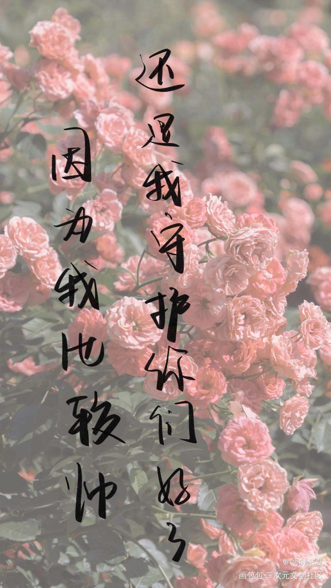 春花_见字如晤绘画作品