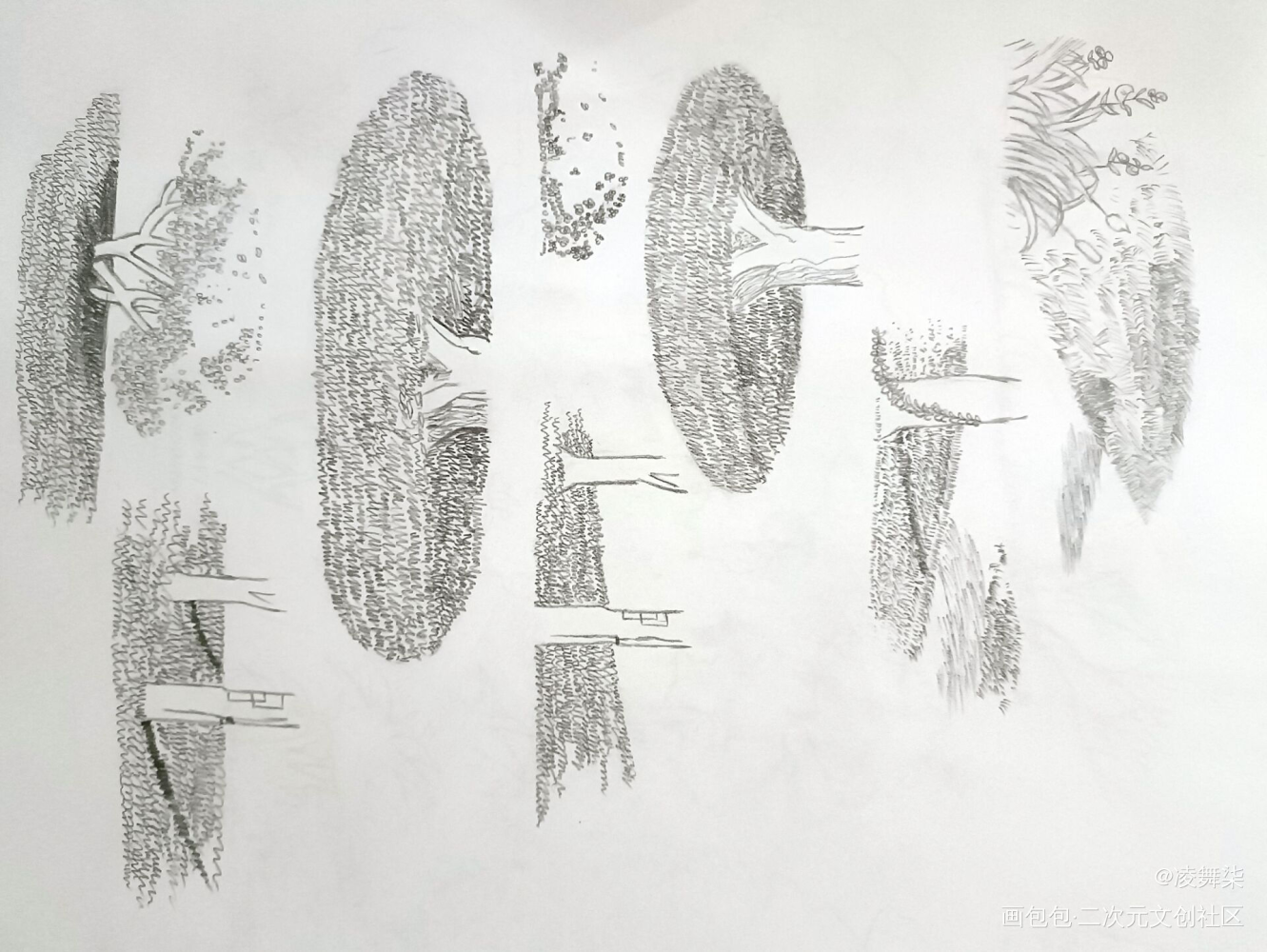 园林作业_手绘绘画作品