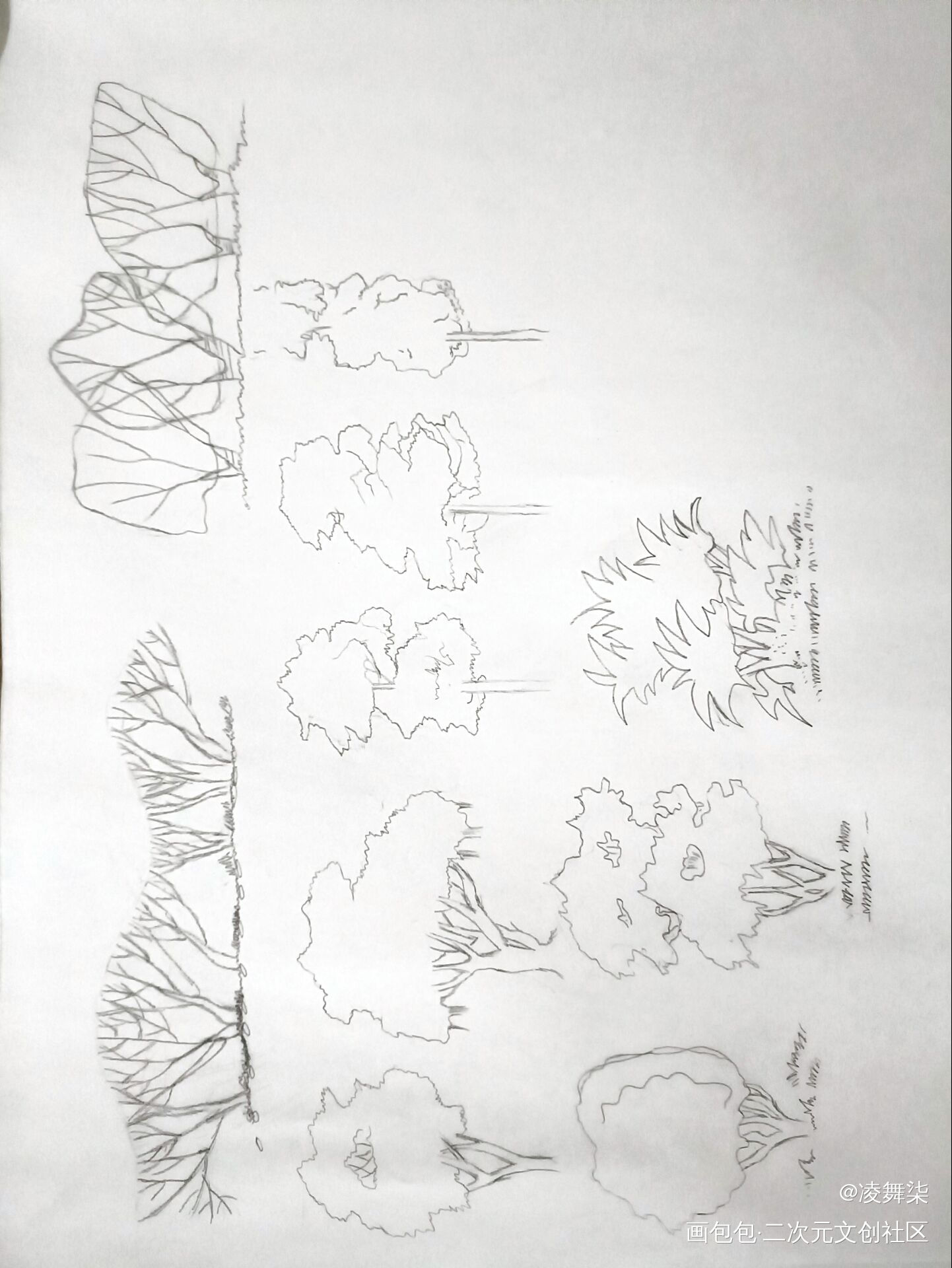 园林制图的作业_手绘绘画作品