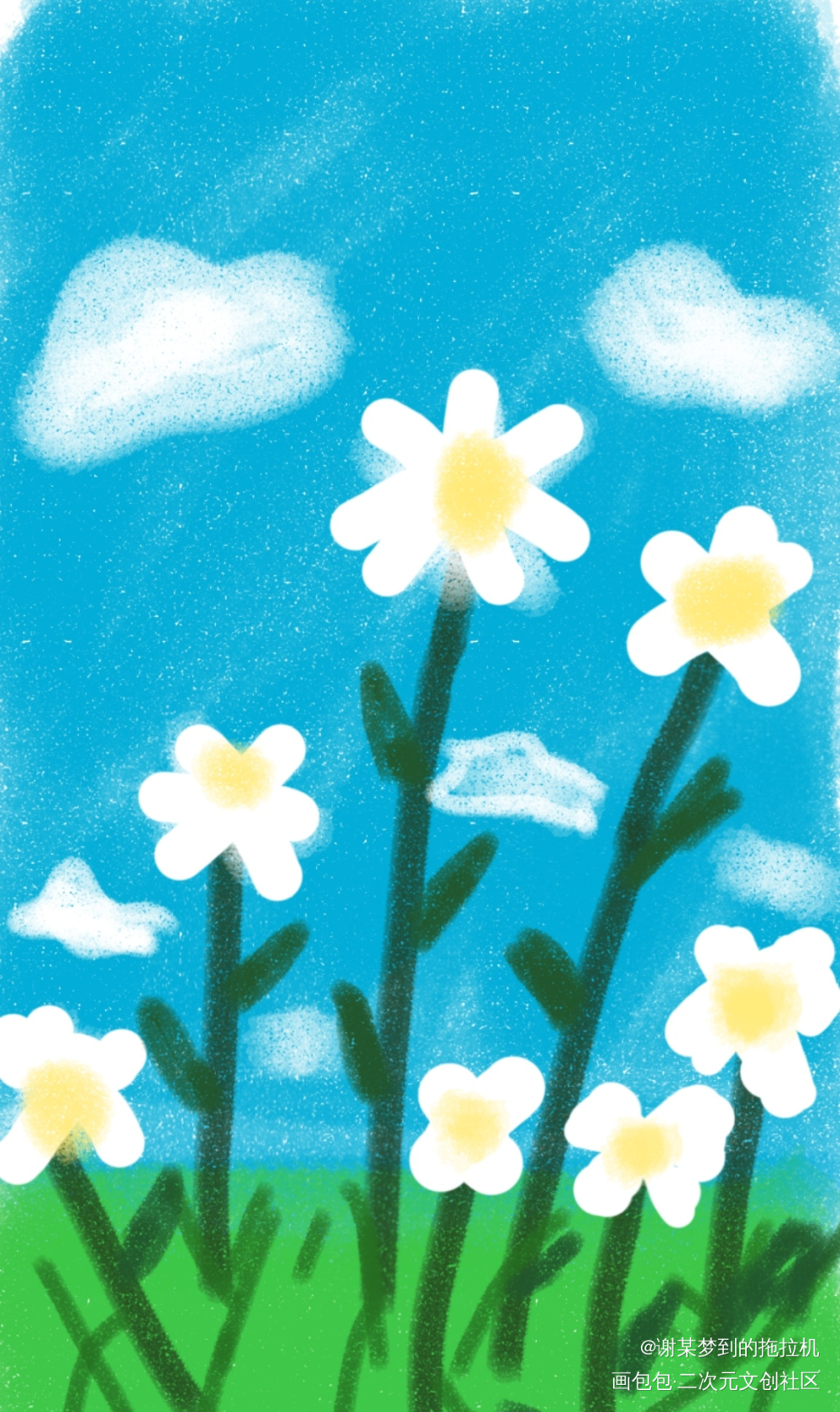 小（？）雏菊_手绘绘画作品