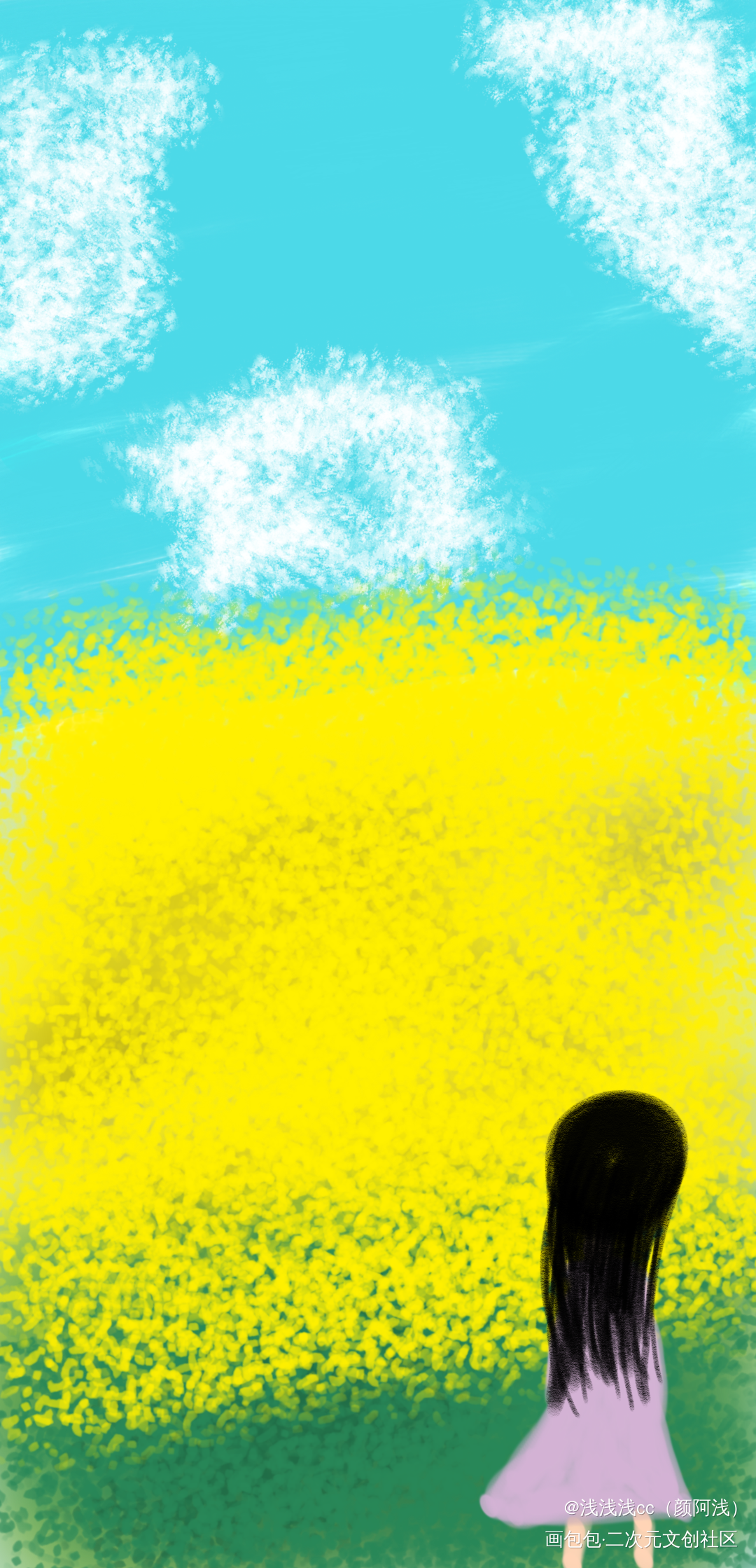 油菜花_手绘绘画作品