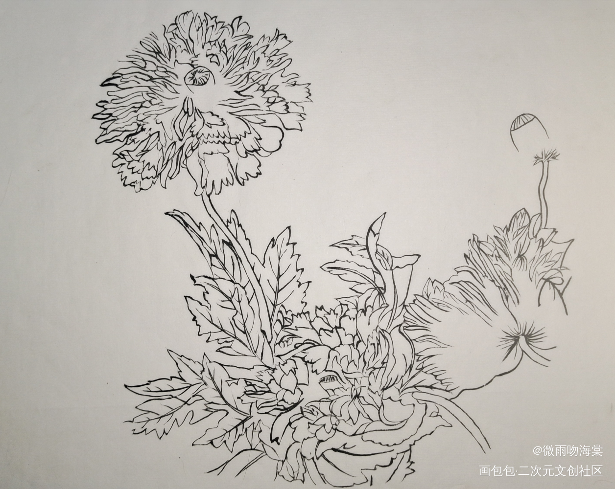 每日练习_水墨手绘绘画作品