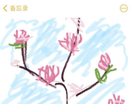 春日里的小花花_绘画作品