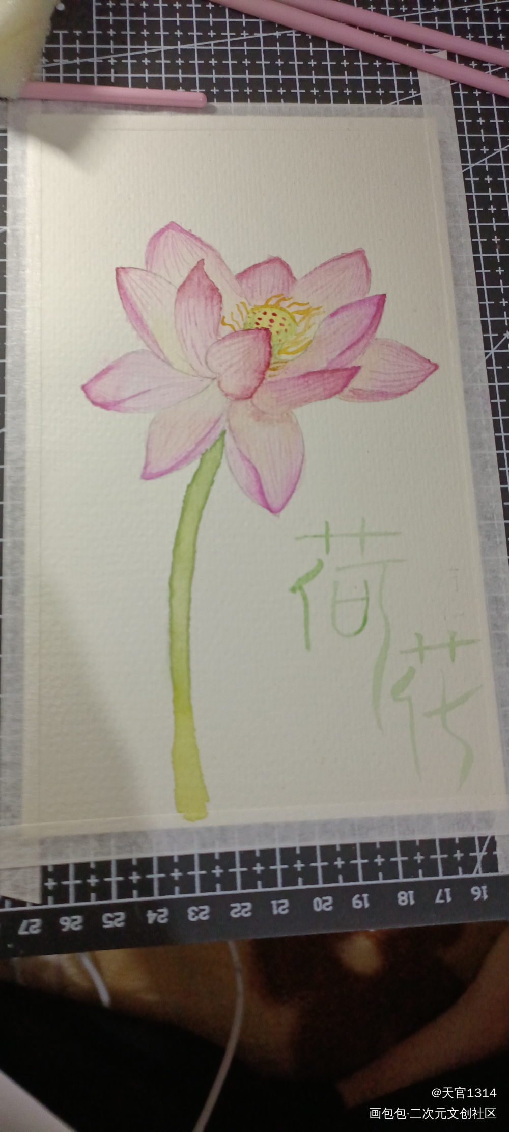 荷花_水彩绘画作品