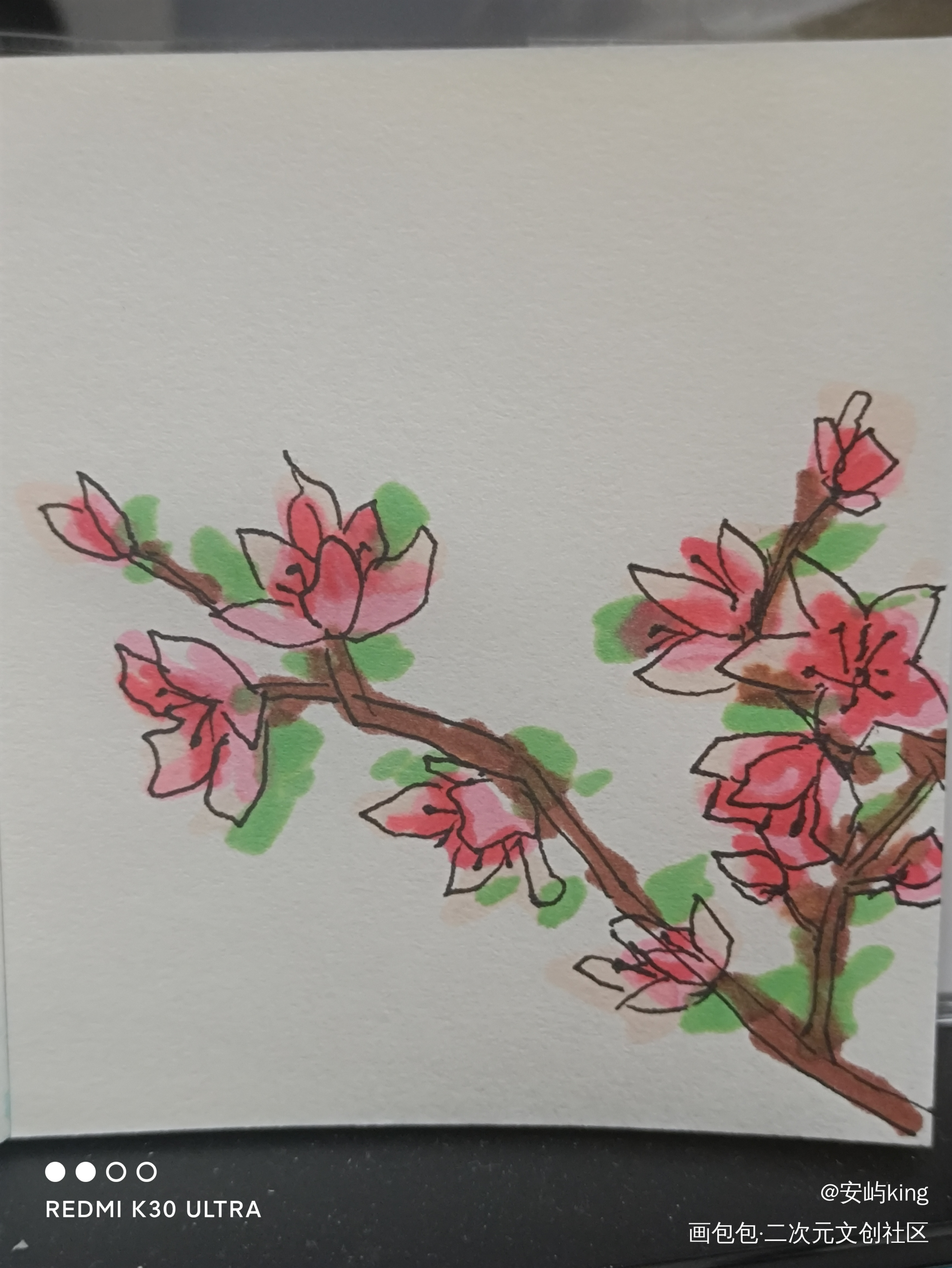 桃花开啦！！_手绘绘画作品