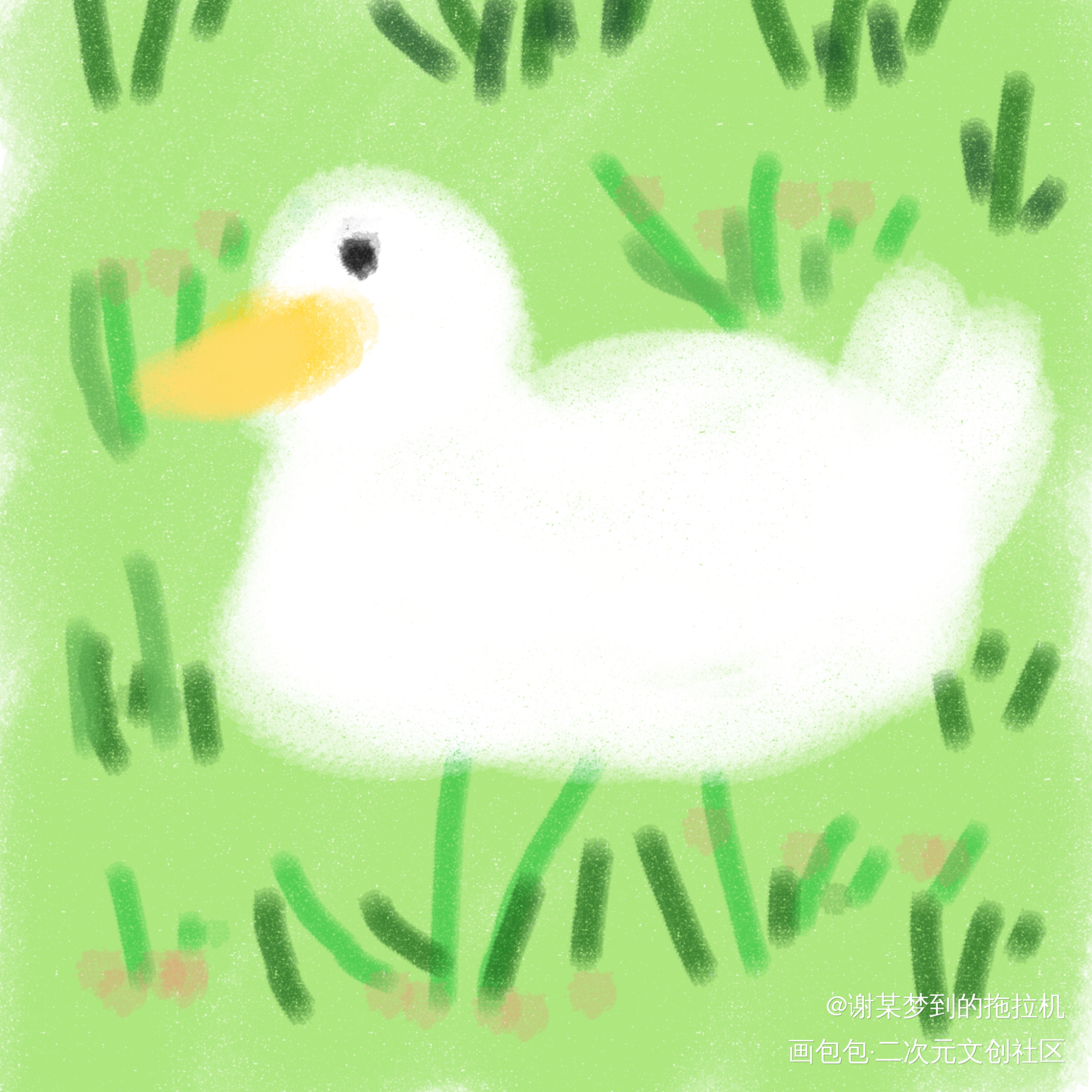 鸭～_手绘绘画作品