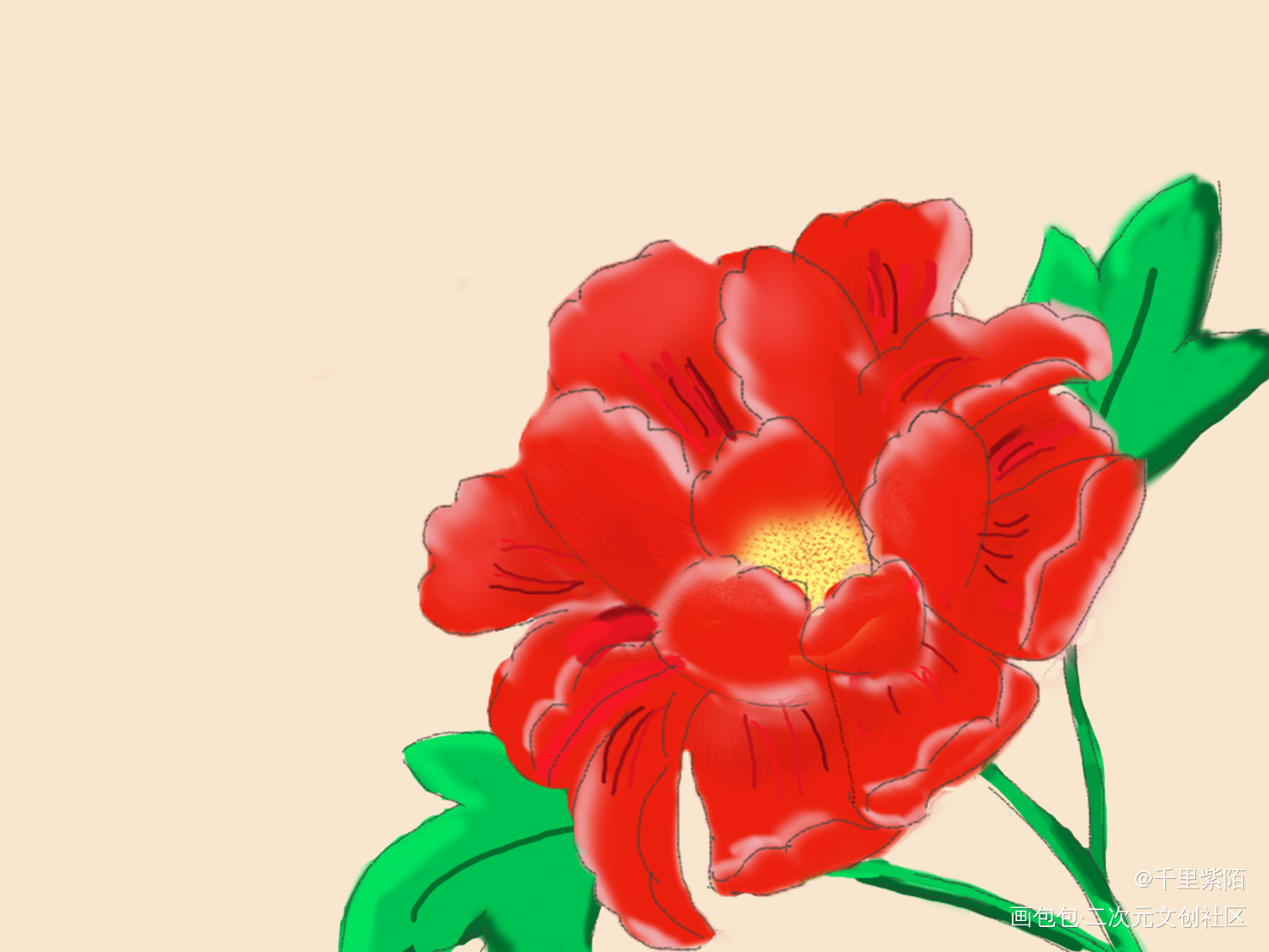 唯有牡丹真国色_平涂绘画作品