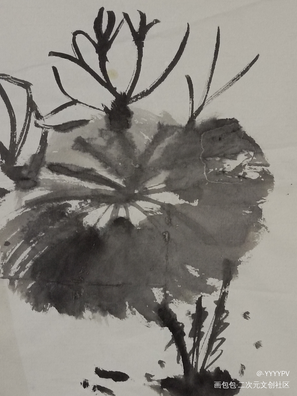 莲_黑莲花攻略手册绘画作品