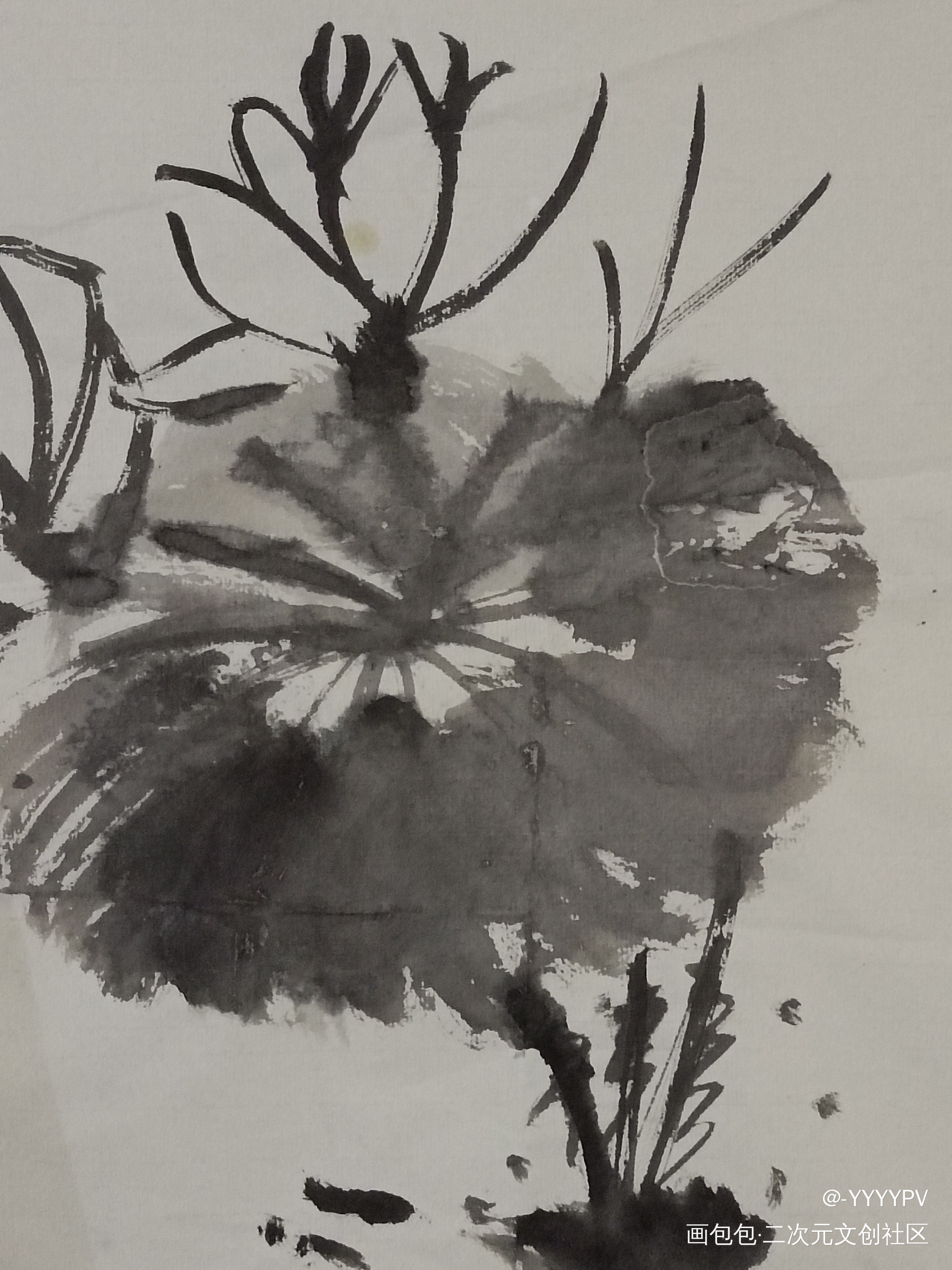 莲_黑莲花攻略手册绘画作品