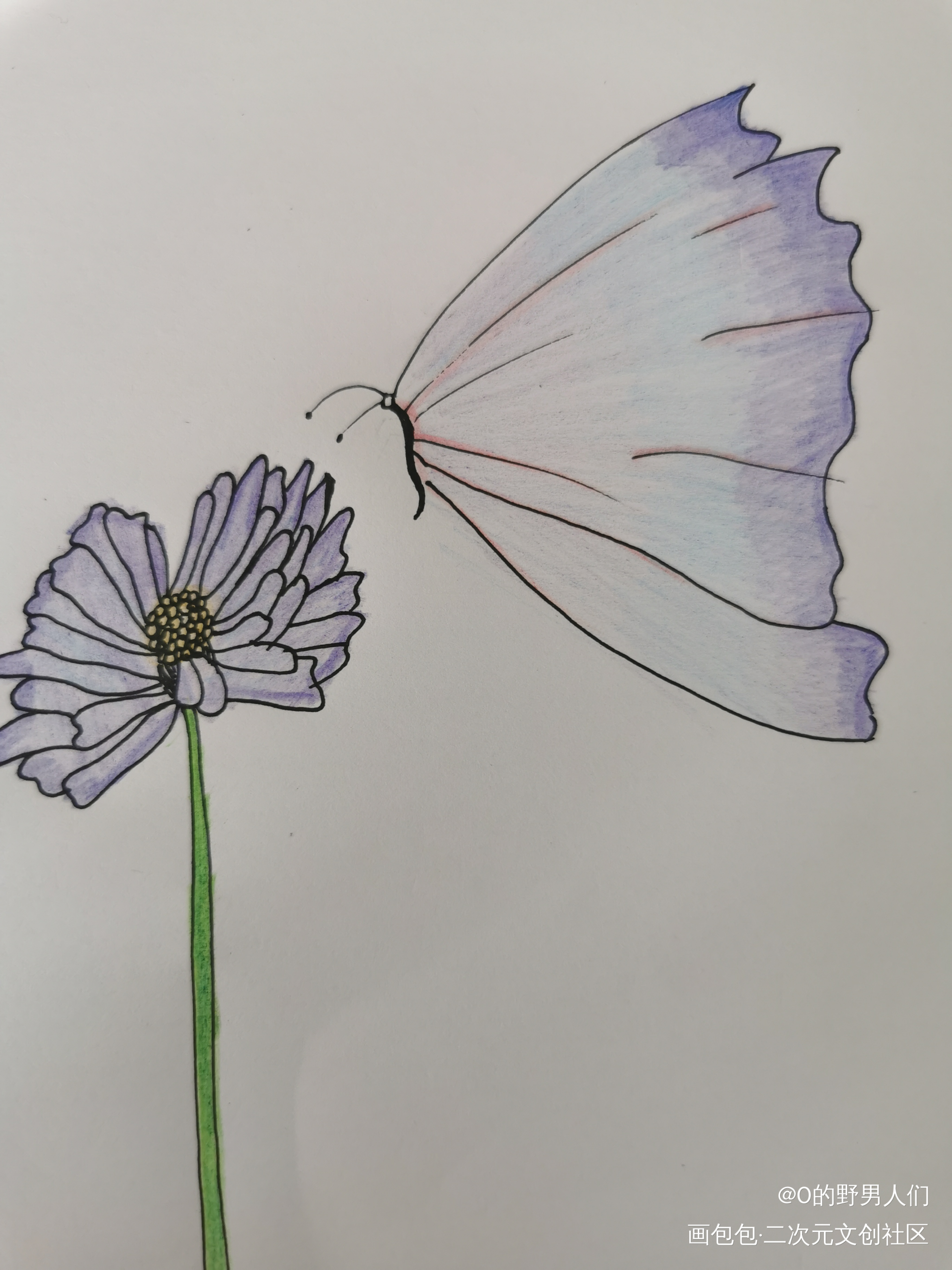 福蝶与鲜花_唤醒春日主题打卡绘画作品