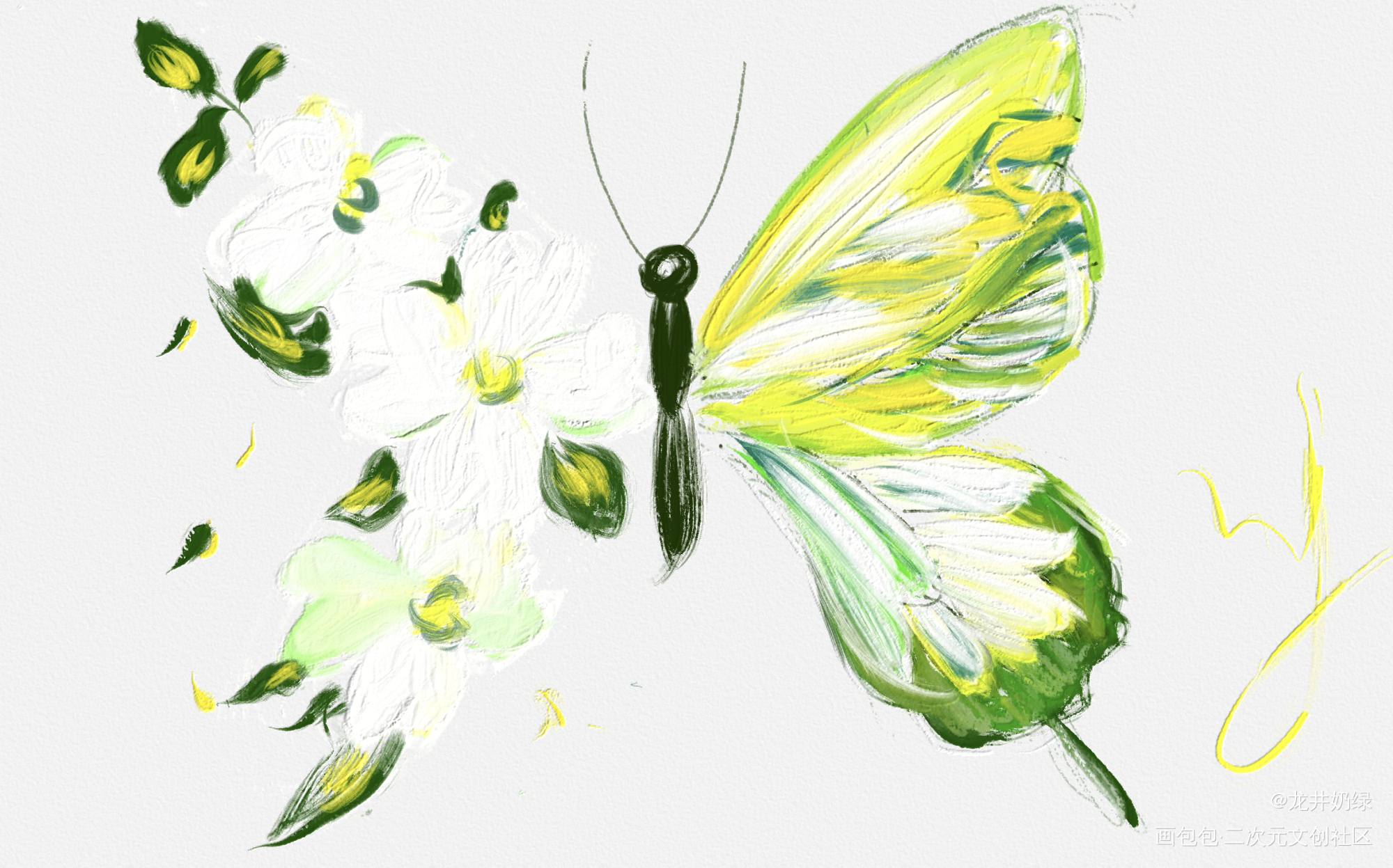花蝴蝶呀_手绘绘画作品
