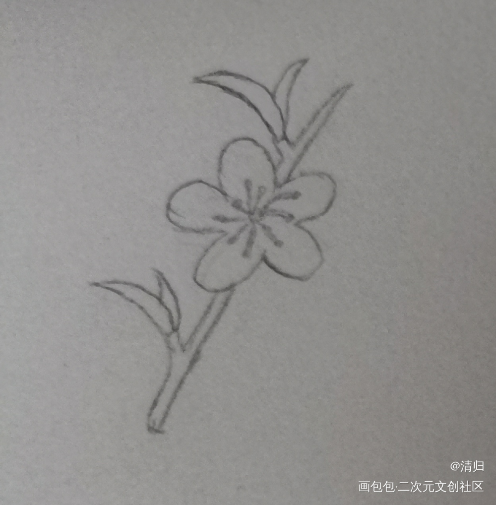 Day1 桃花_手绘绘画作品