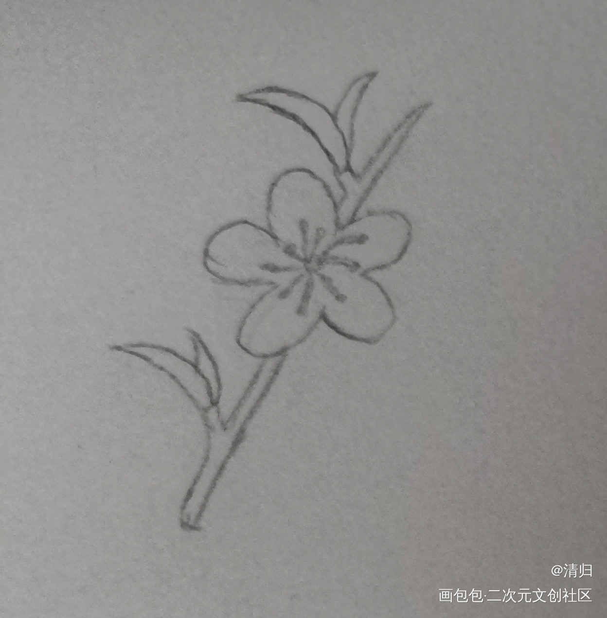 Day1 桃花_手绘绘画作品