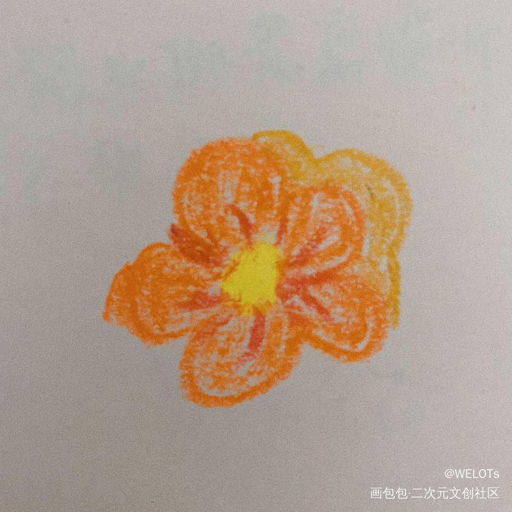 花_手绘绘画作品