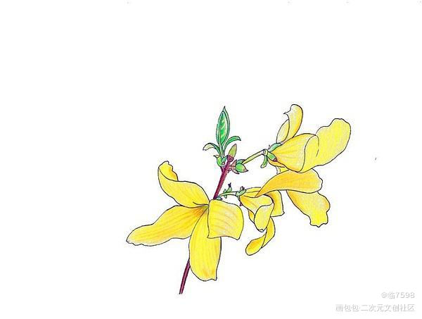 春日打卡_唤醒春日主题打卡绘画作品