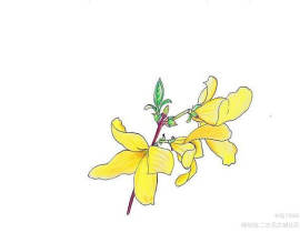 春日打卡_绘画作品
