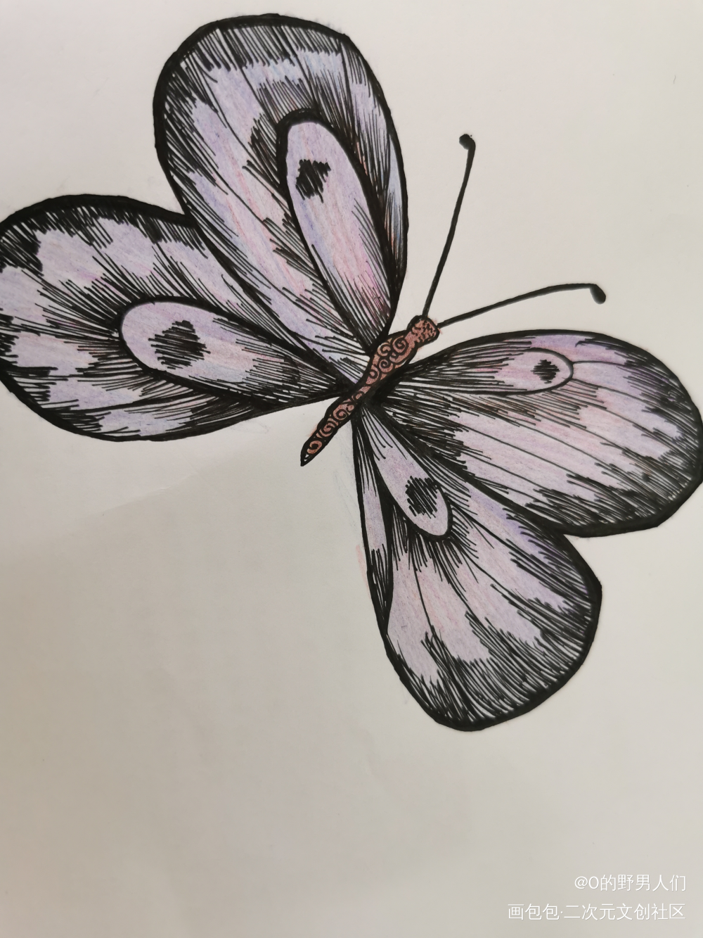 小蝴蝶❤️?_唤醒春日主题打卡绘画作品