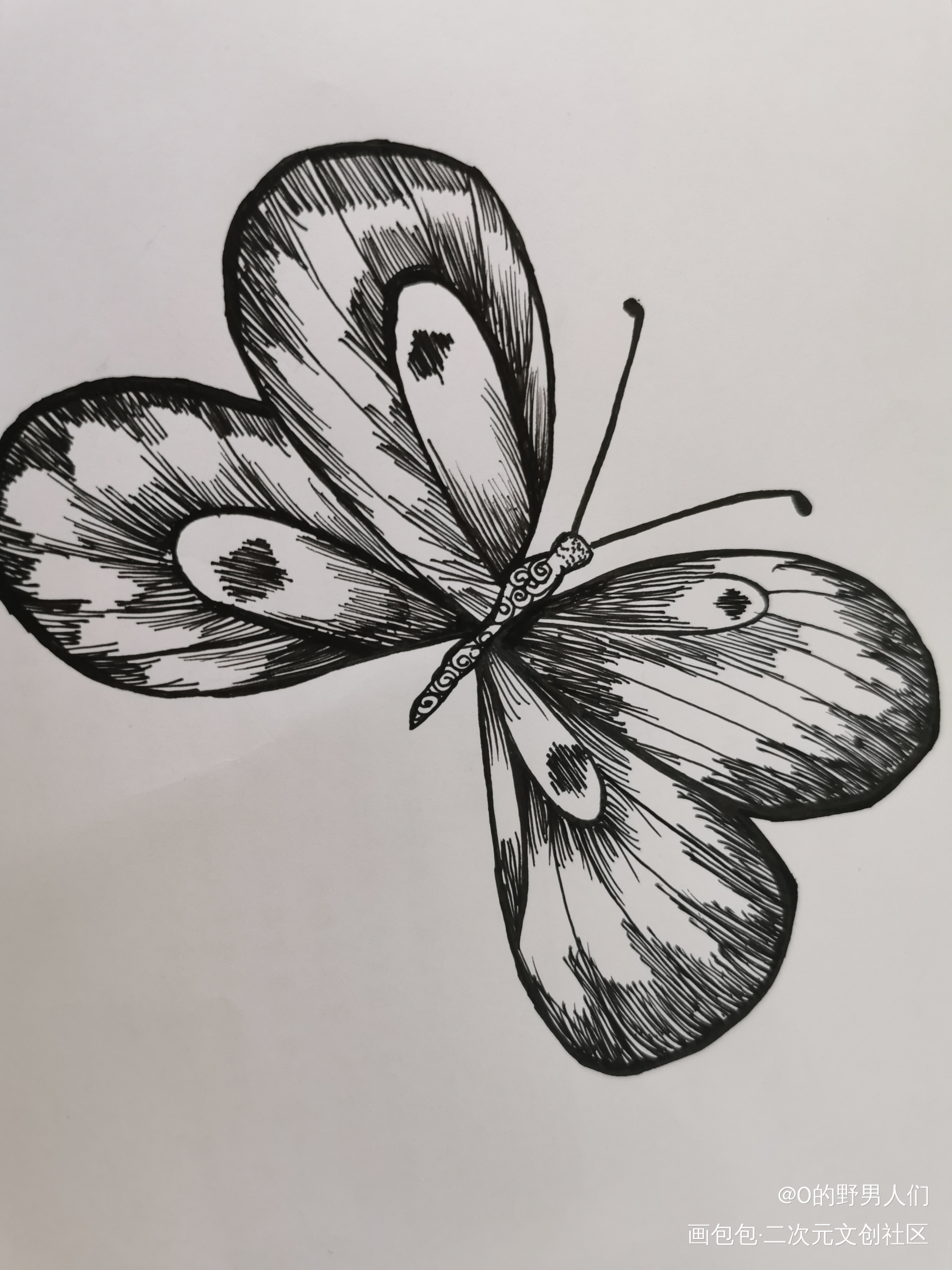 小蝴蝶❤️?_唤醒春日主题打卡绘画作品