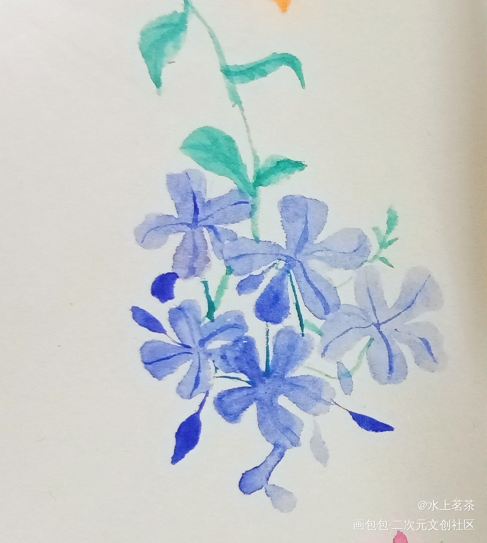 打卡_手绘水彩绘画作品