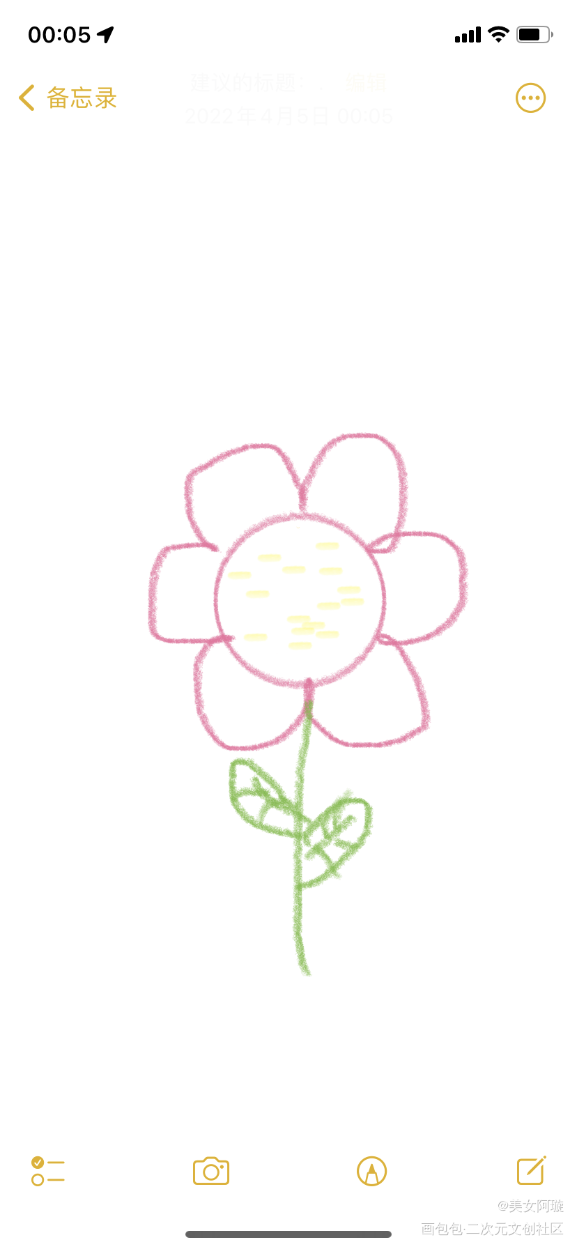 花_手绘绘画作品