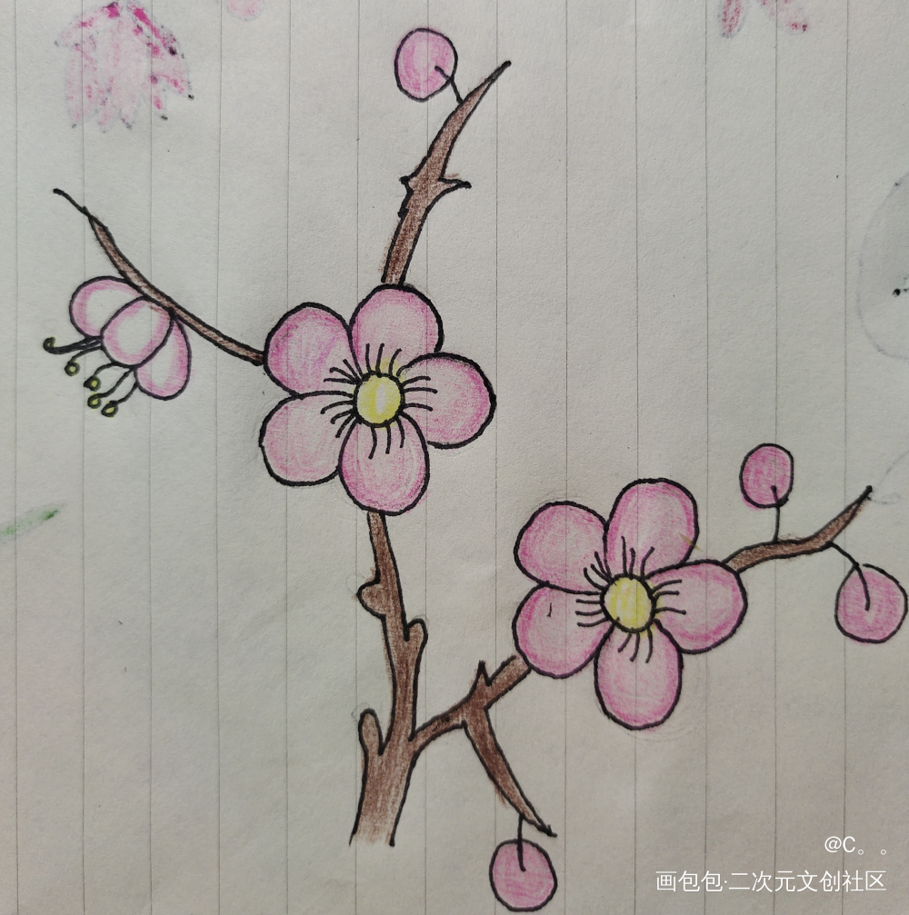 打卡4_手绘绘画作品