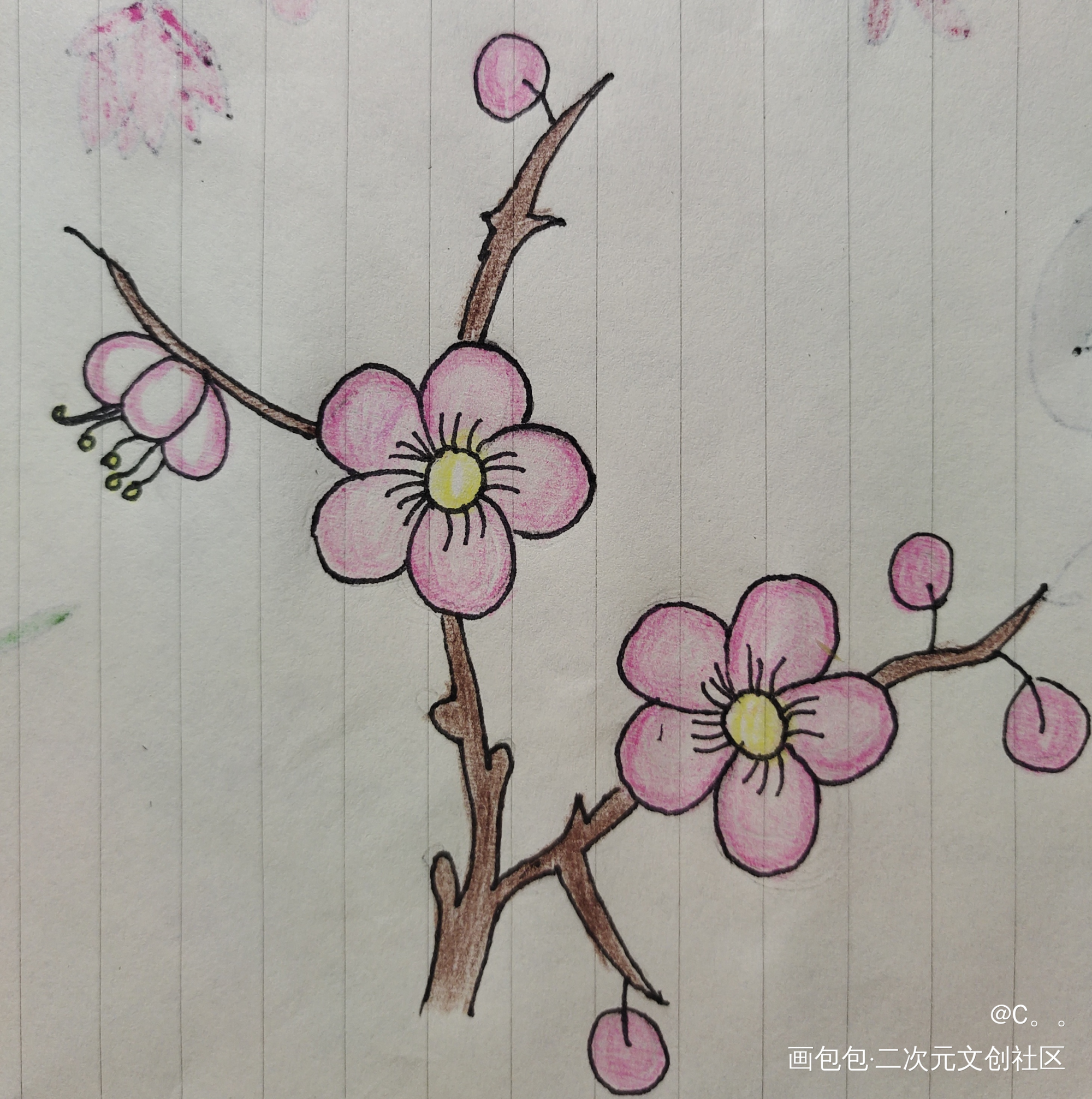 打卡4_手绘绘画作品