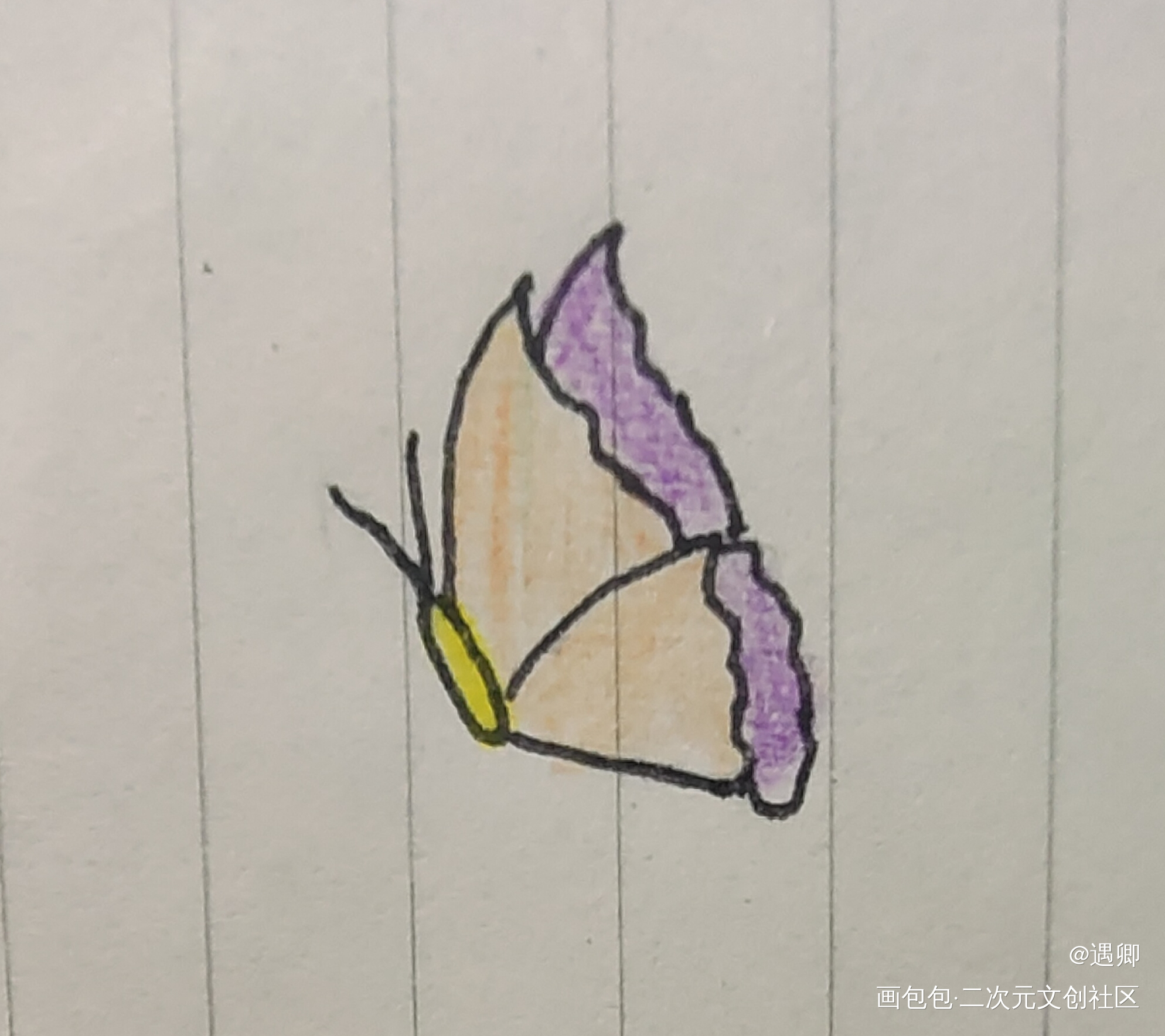 打卡2_手绘绘画作品