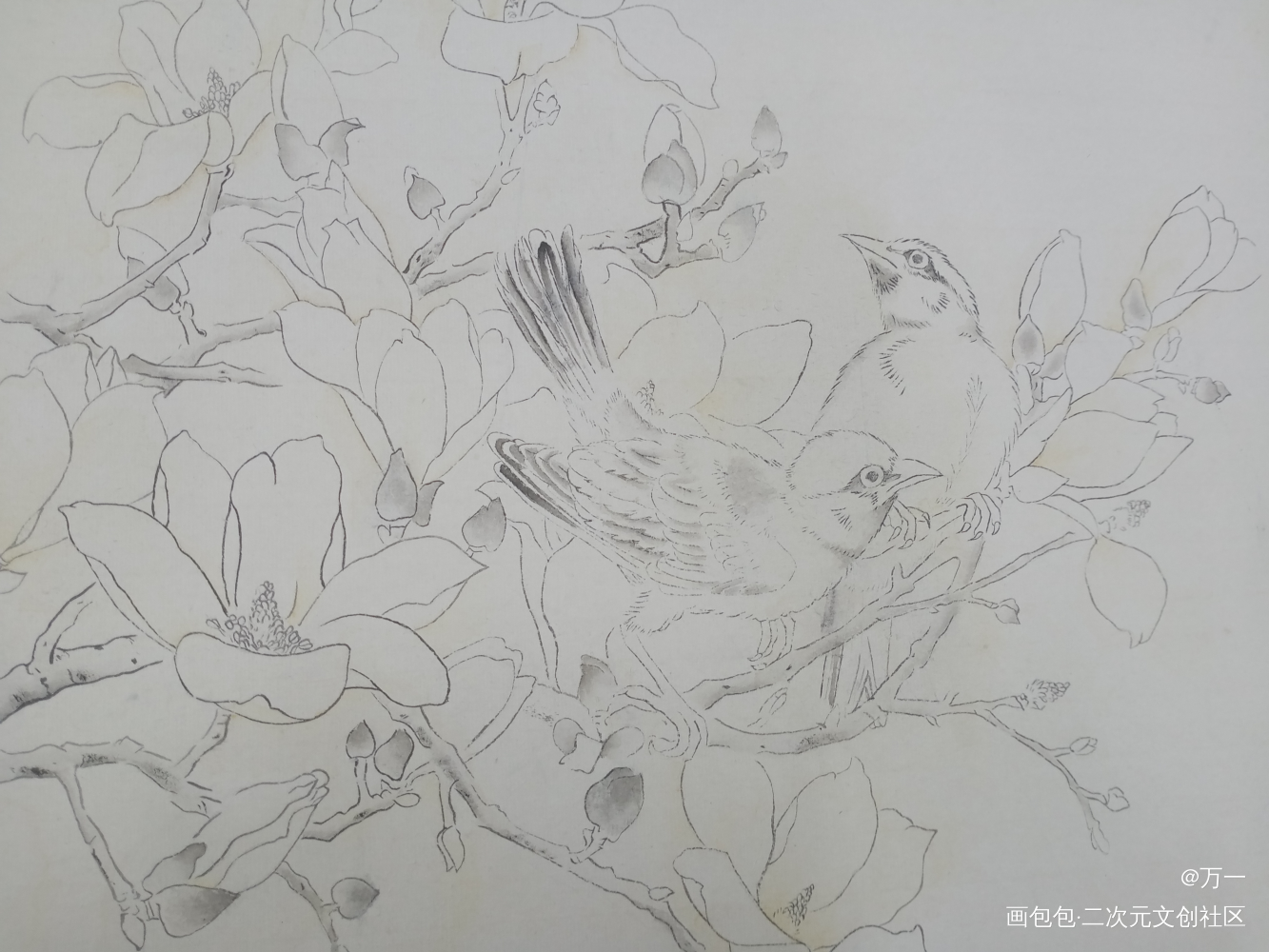 第一次宣染_水彩绘画作品