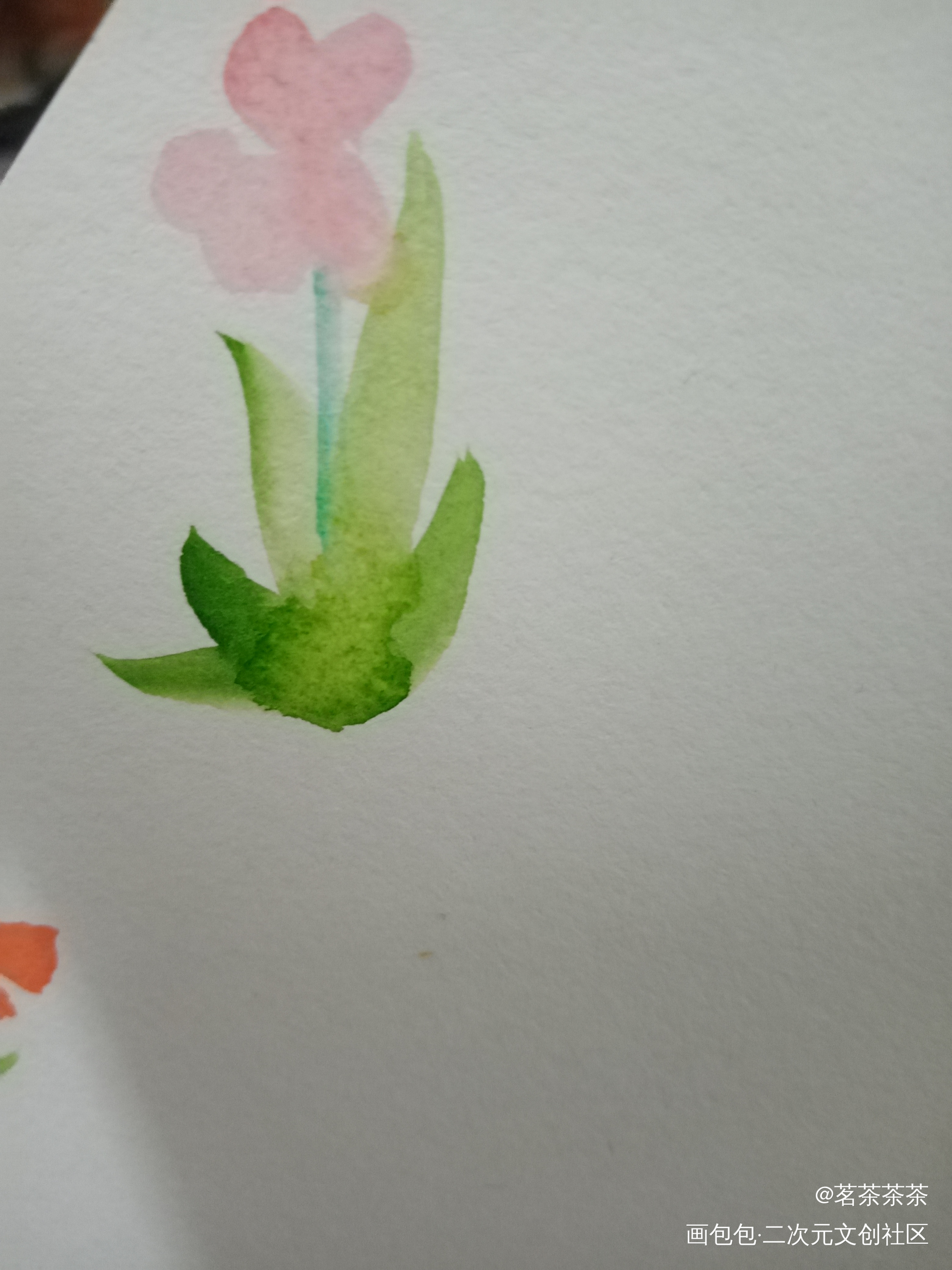 打卡_手绘水彩绘画作品