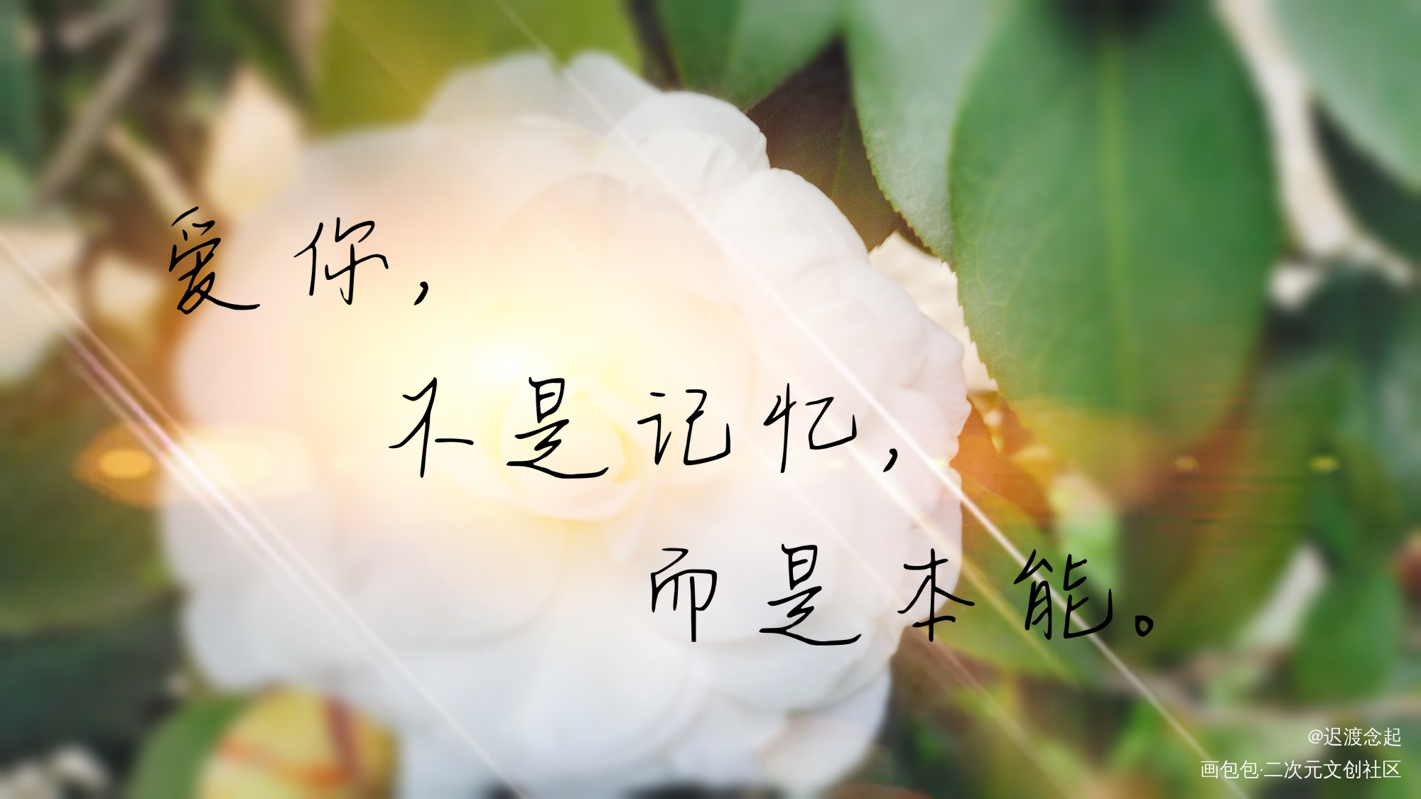 全球高考_全球高考我要上首推绘画作品