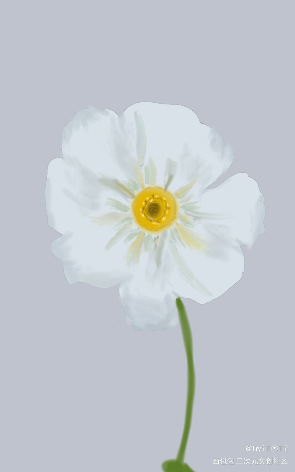 老婆画的格桑花。_手绘绘画作品