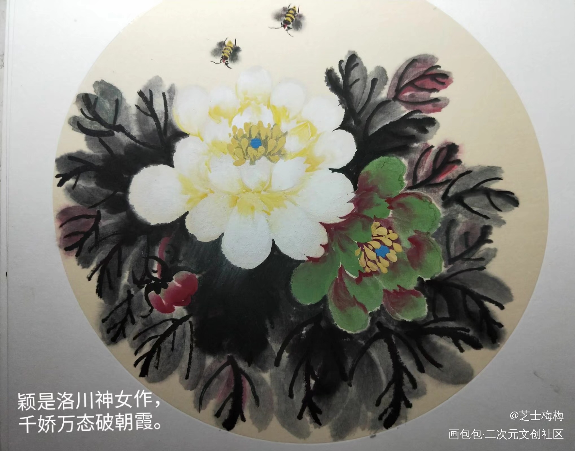 双色牡丹_手绘古风绘画作品