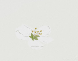 打卡_绘画作品