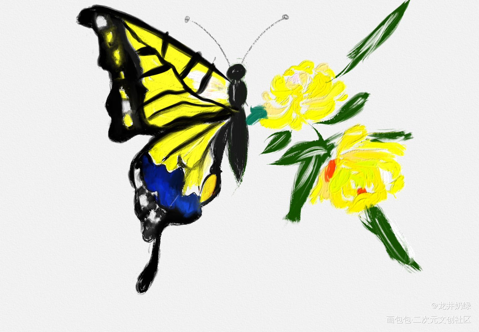 蝶恋花_手绘水彩绘画作品
