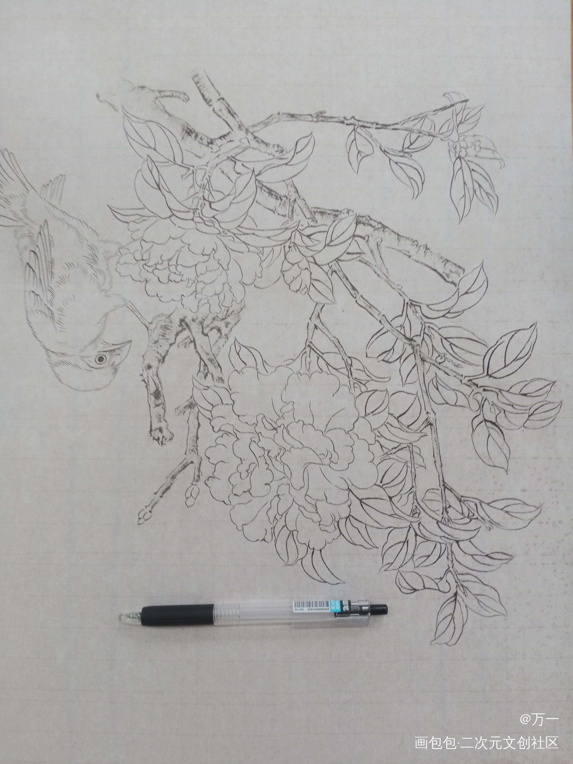 国画_水彩绘画作品