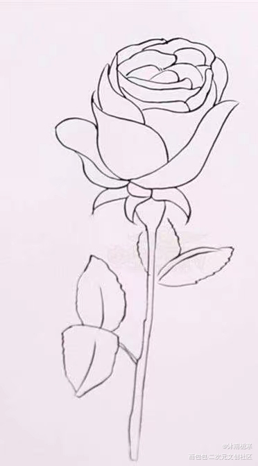一朵花花_手绘绘画作品