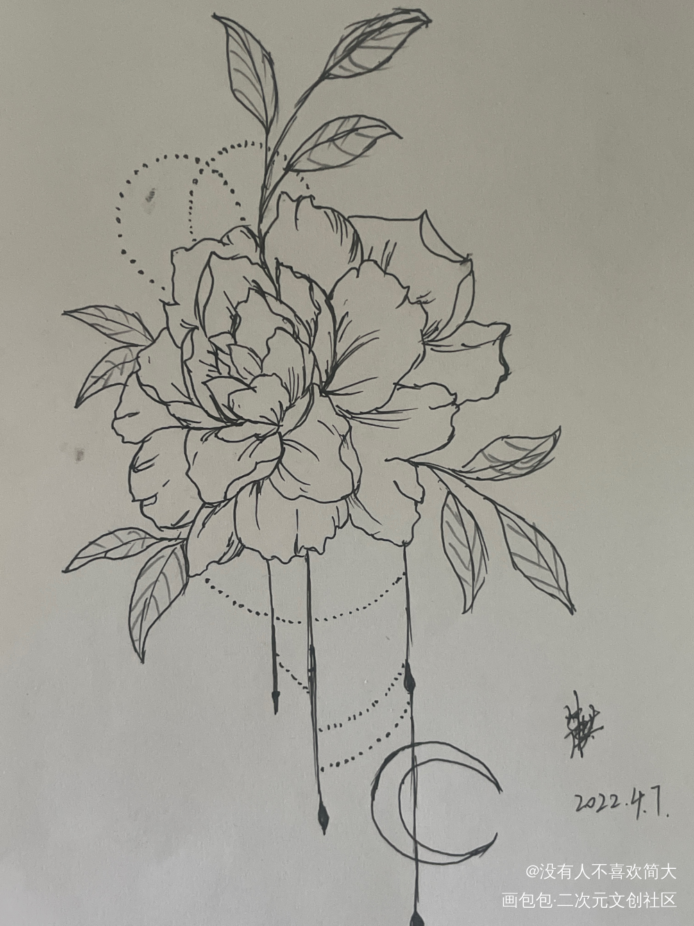 打卡牡丹_手绘绘画作品